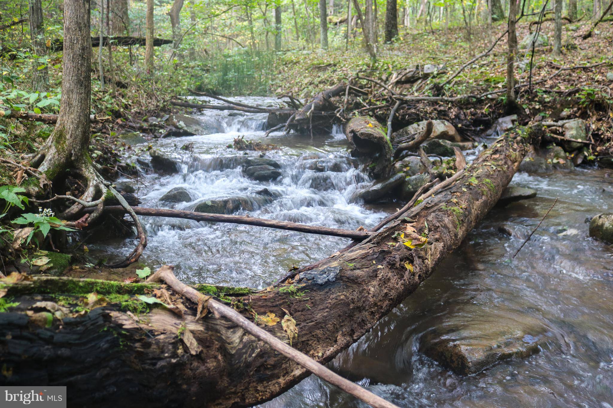 New Creek, WV 26743,12522 NORTHWESTERN TPKE