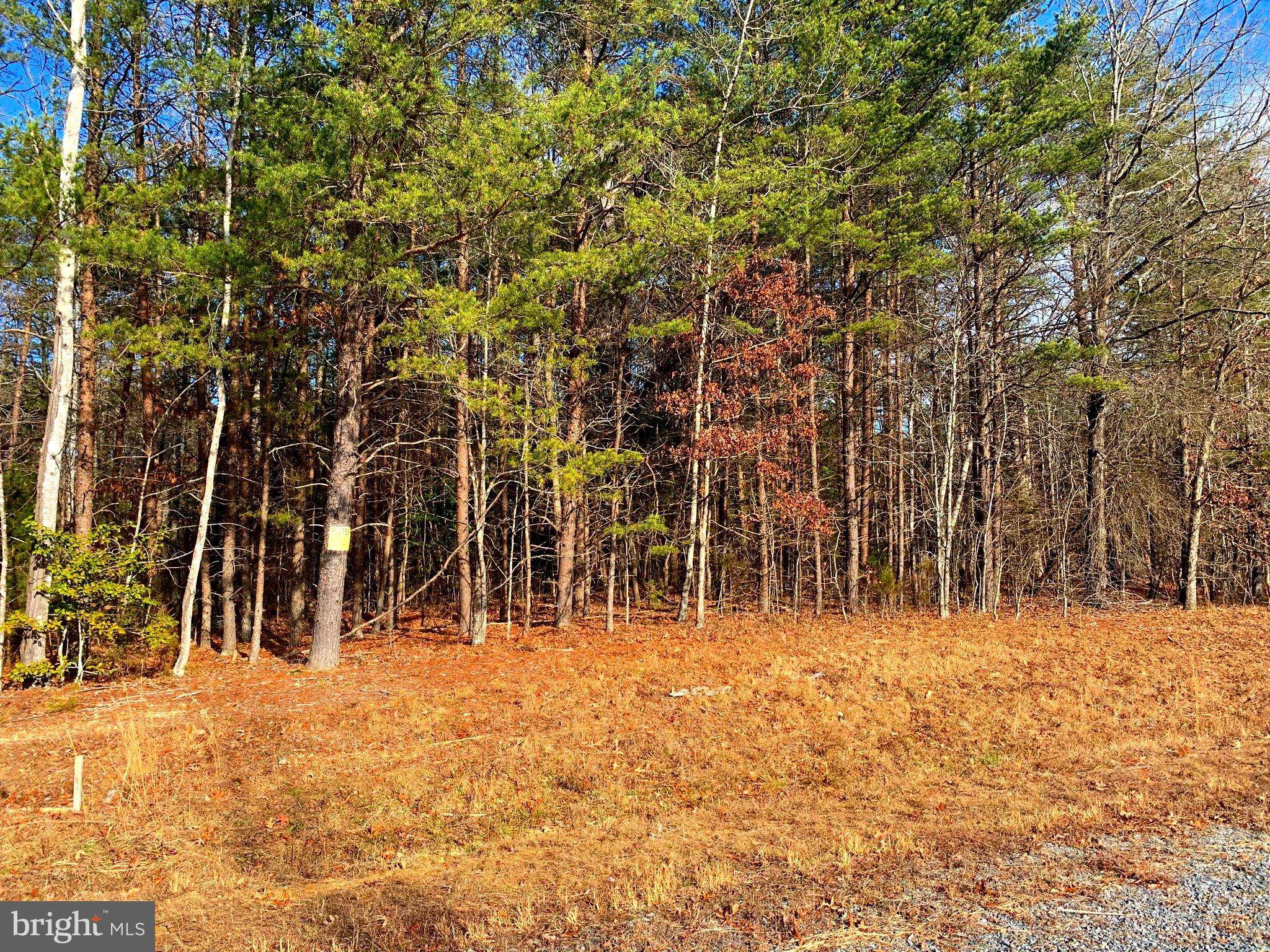 Bumpass, VA 23024,UNKNOWN