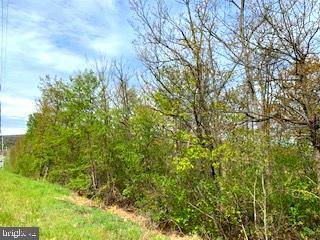 Winchester, VA 22602,0 TIMBER RIDGE TRL