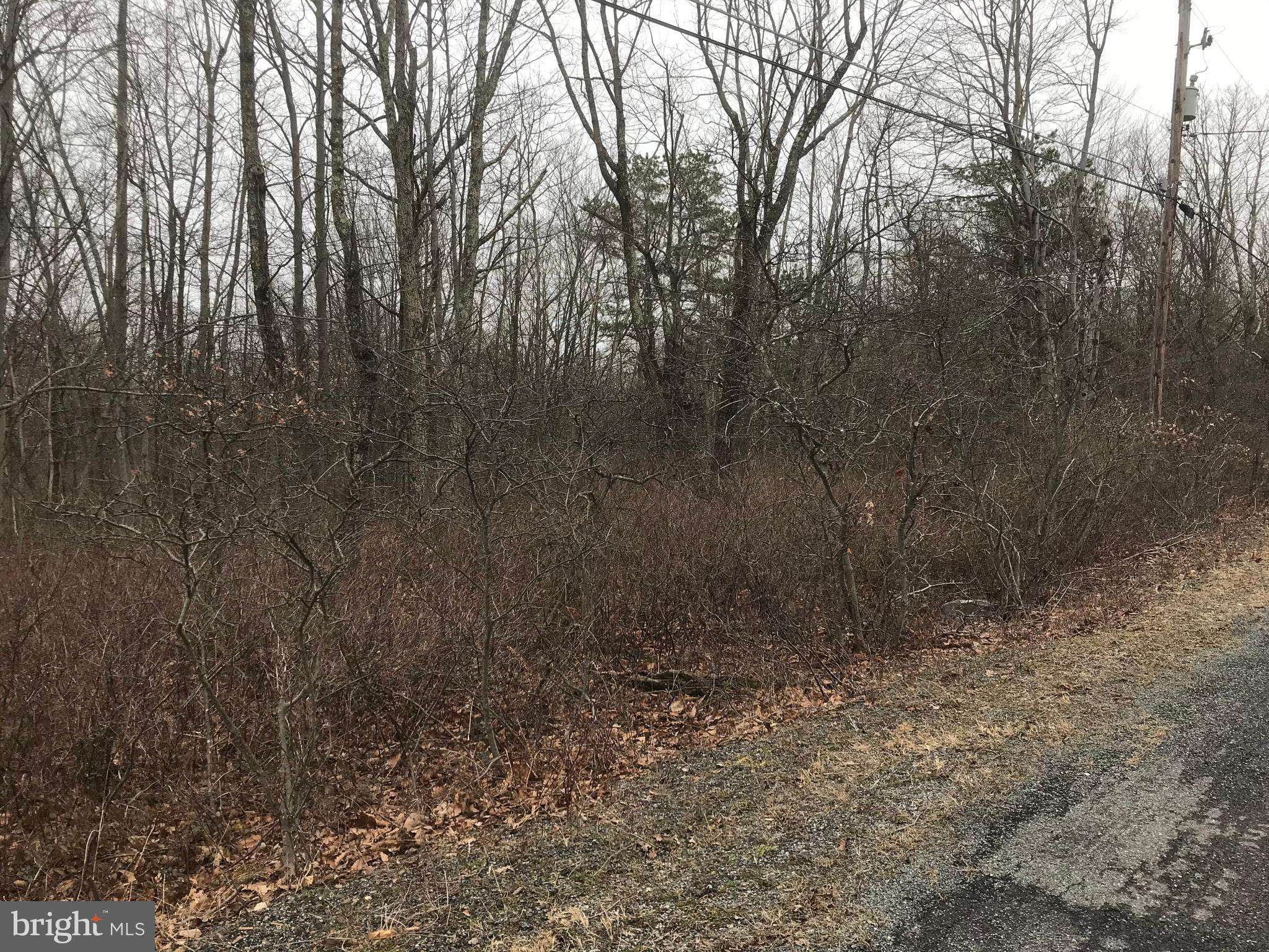 Jim Thorpe, PA 18229,LOT#A143 BLACK WALNUT LN