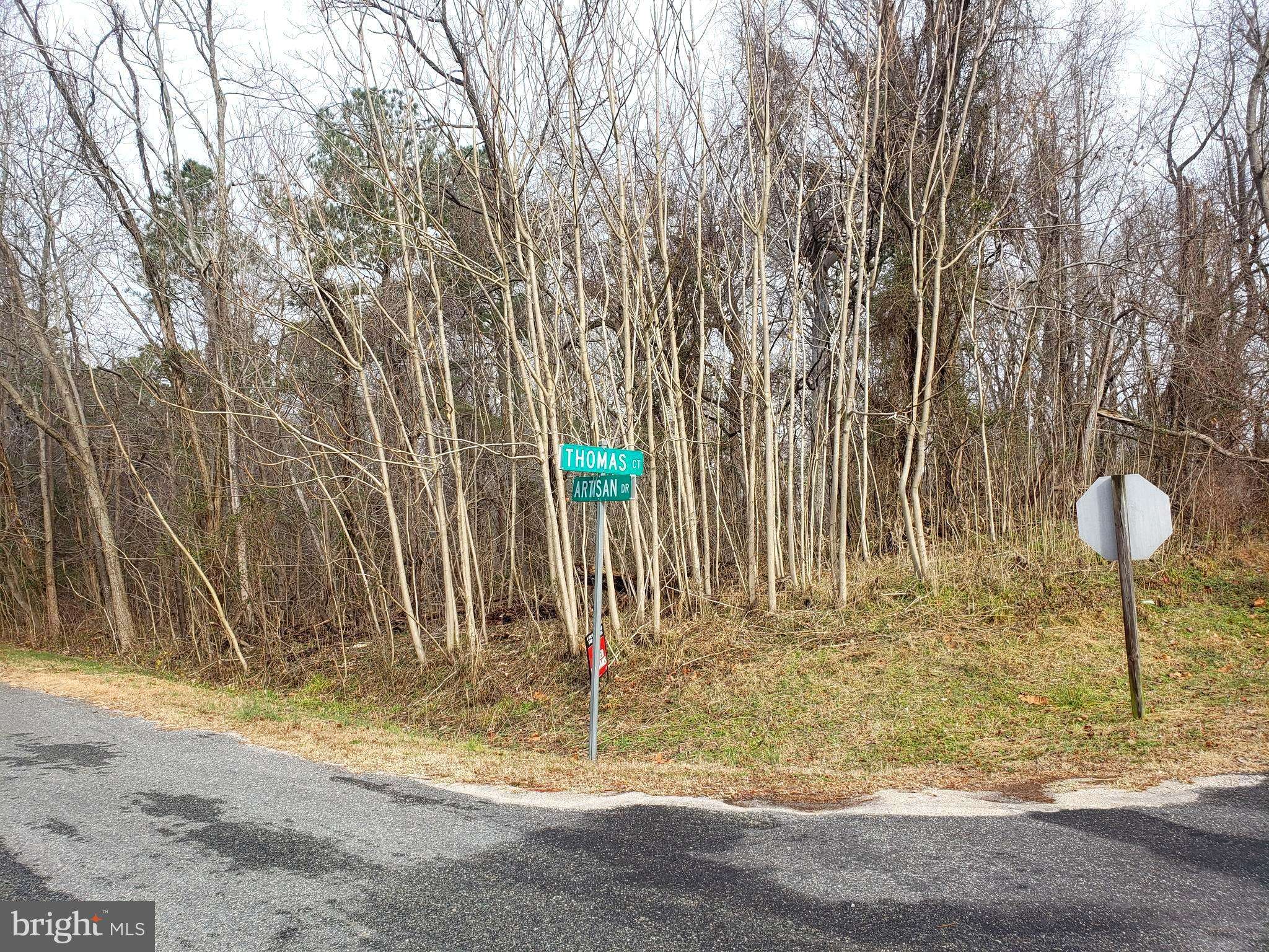 Montross, VA 22520,000 THOMAS CT LOT #153