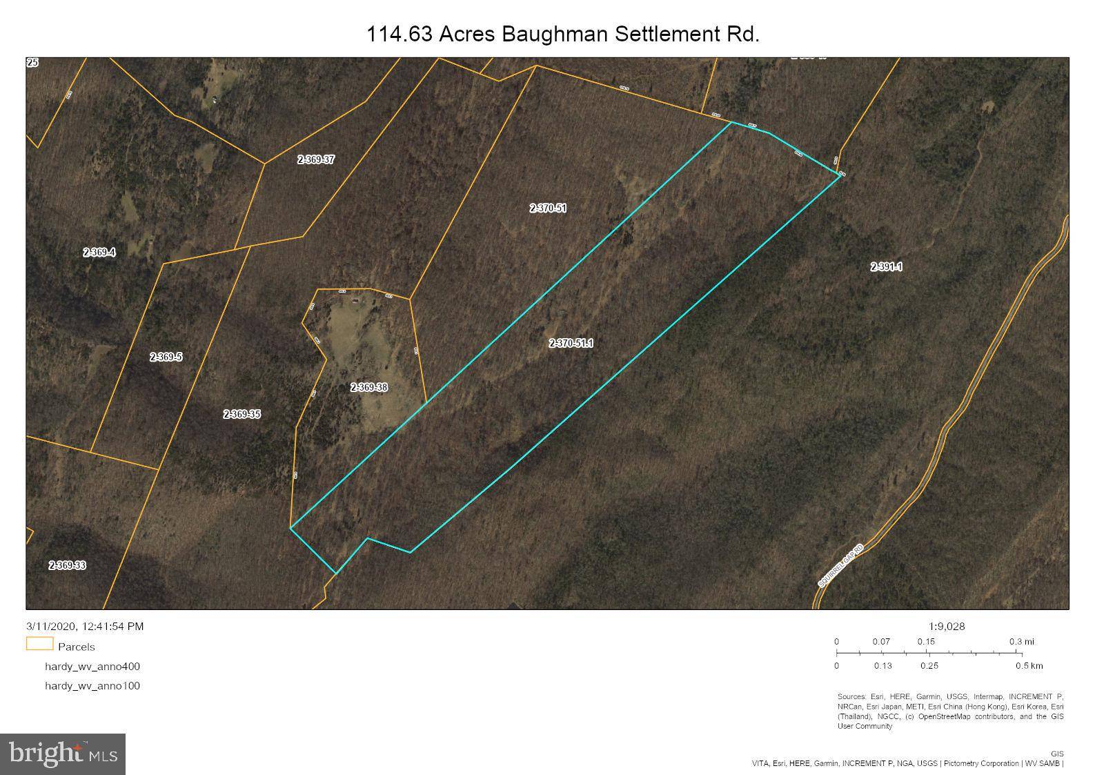 Baker, WV 26801,114-ACRES BAUGHMAN SETTLETMENT