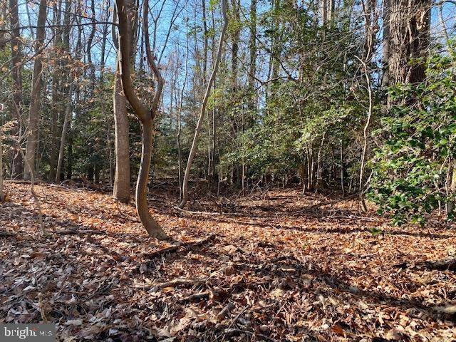 Montross, VA 22520,LOT# 156 NORTH INDEPENDENCE DR