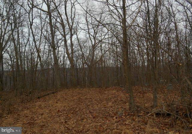 Bloomery, WV 26817,MOUNTAIN TOP RD #LOT 49-A