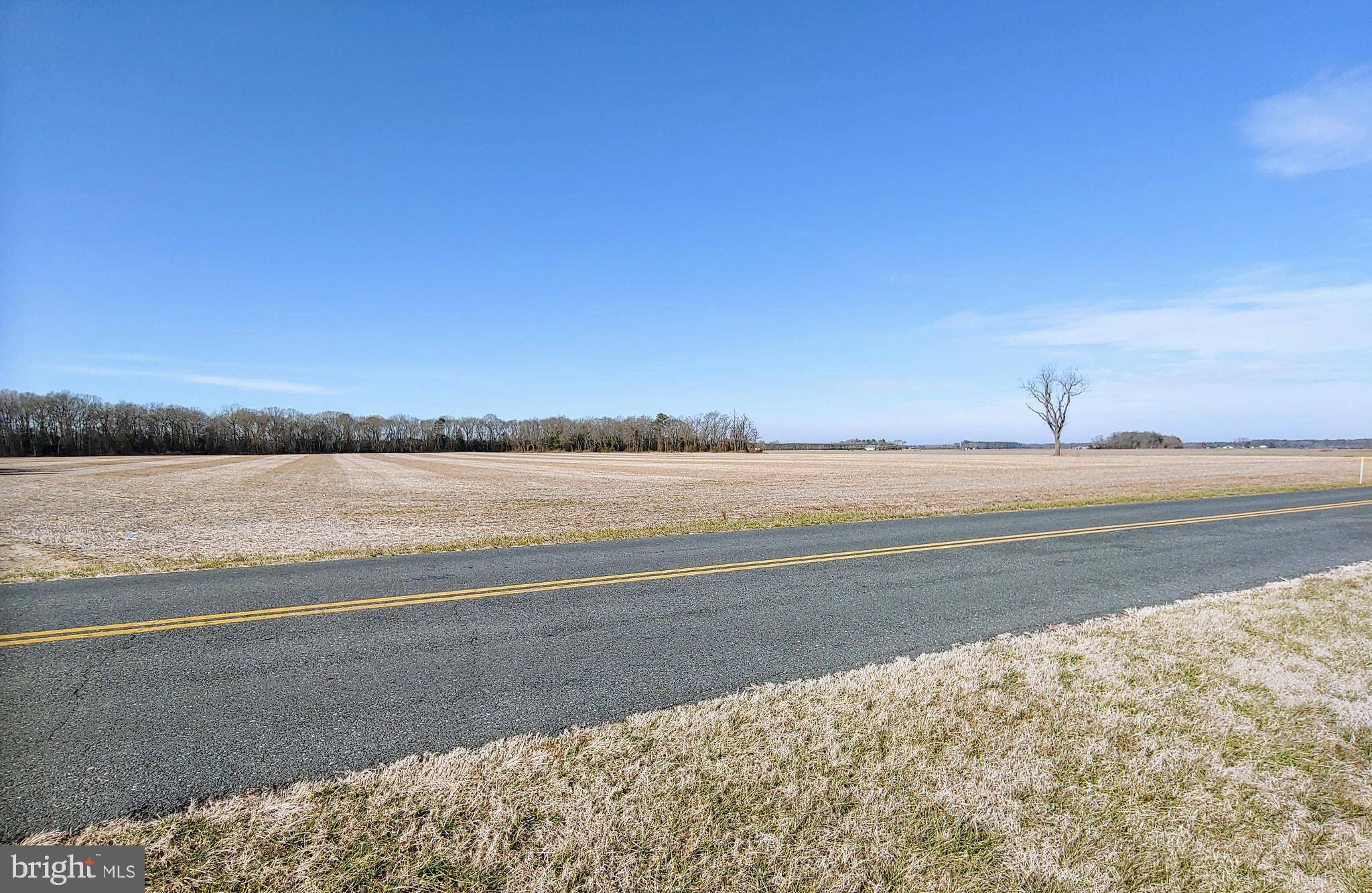 Rhodesdale, MD 21659,5683 GALESTOWN RELIANCE