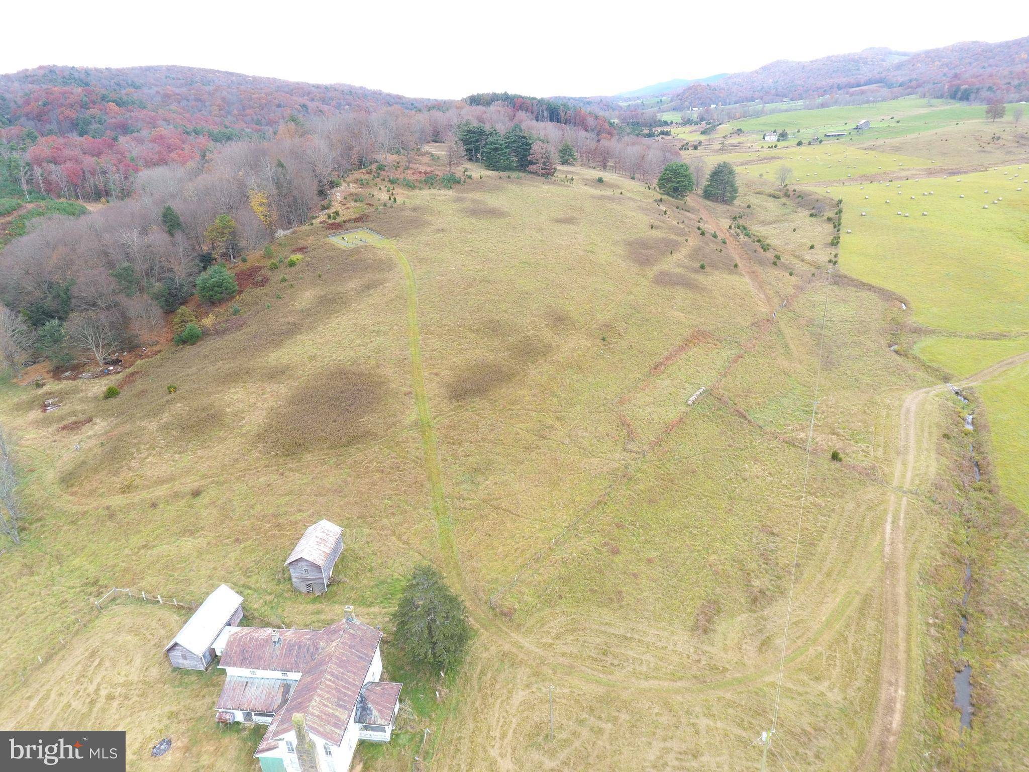 Sugar Grove, WV 26815,224 ACRES BLACK THORN