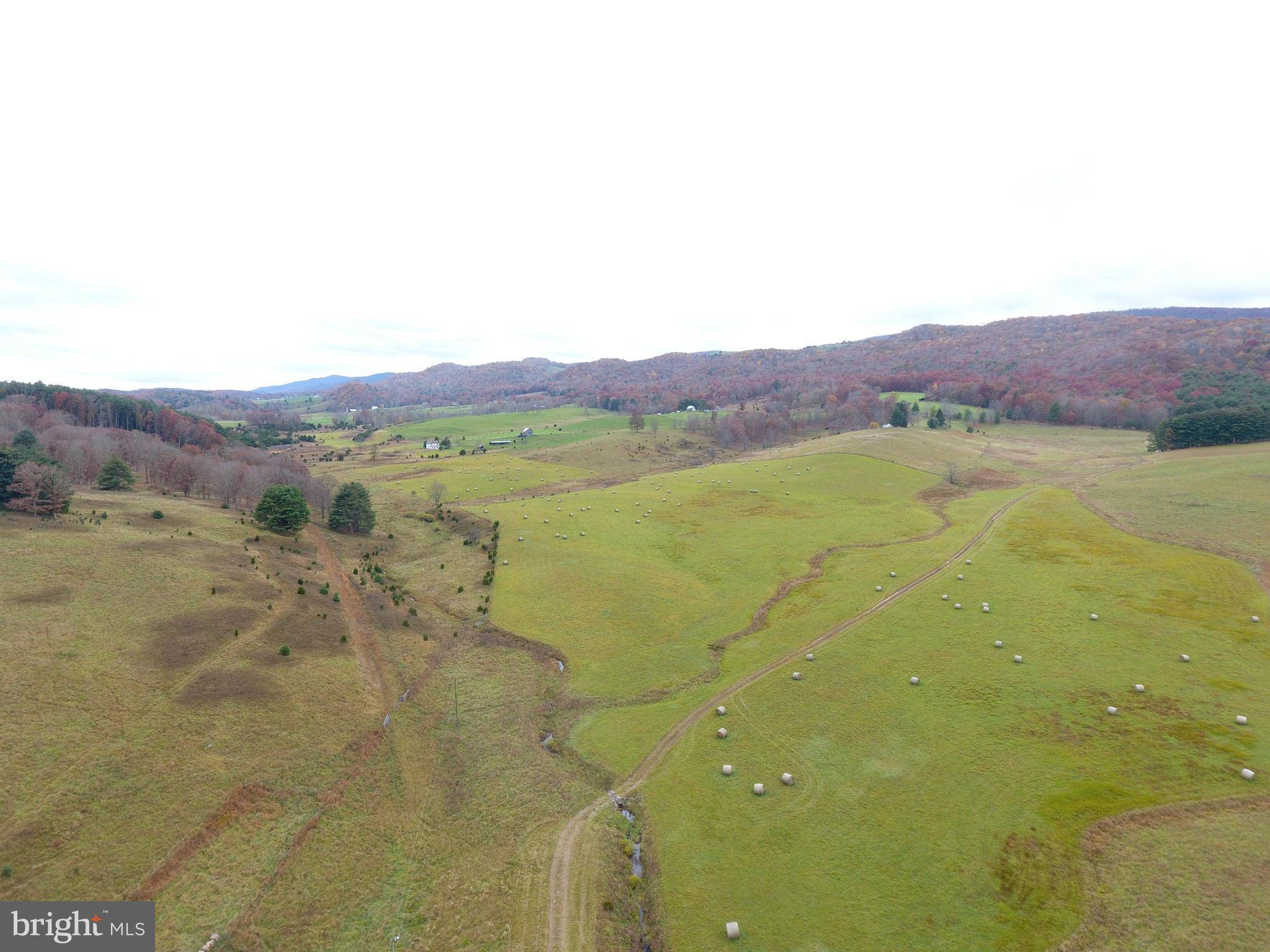 Sugar Grove, WV 26815,224 ACRES BLACK THORN