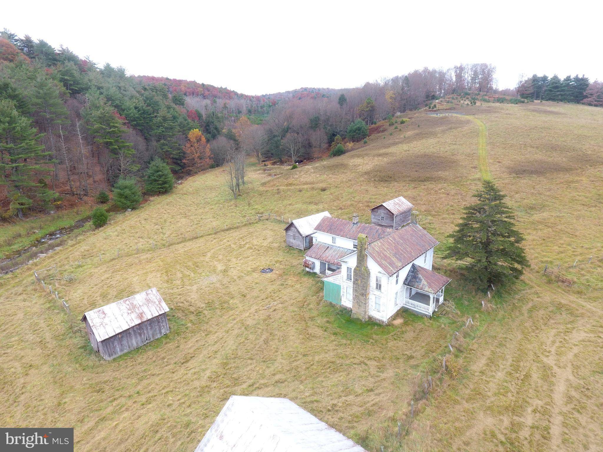 Sugar Grove, WV 26815,224 ACRES BLACK THORN