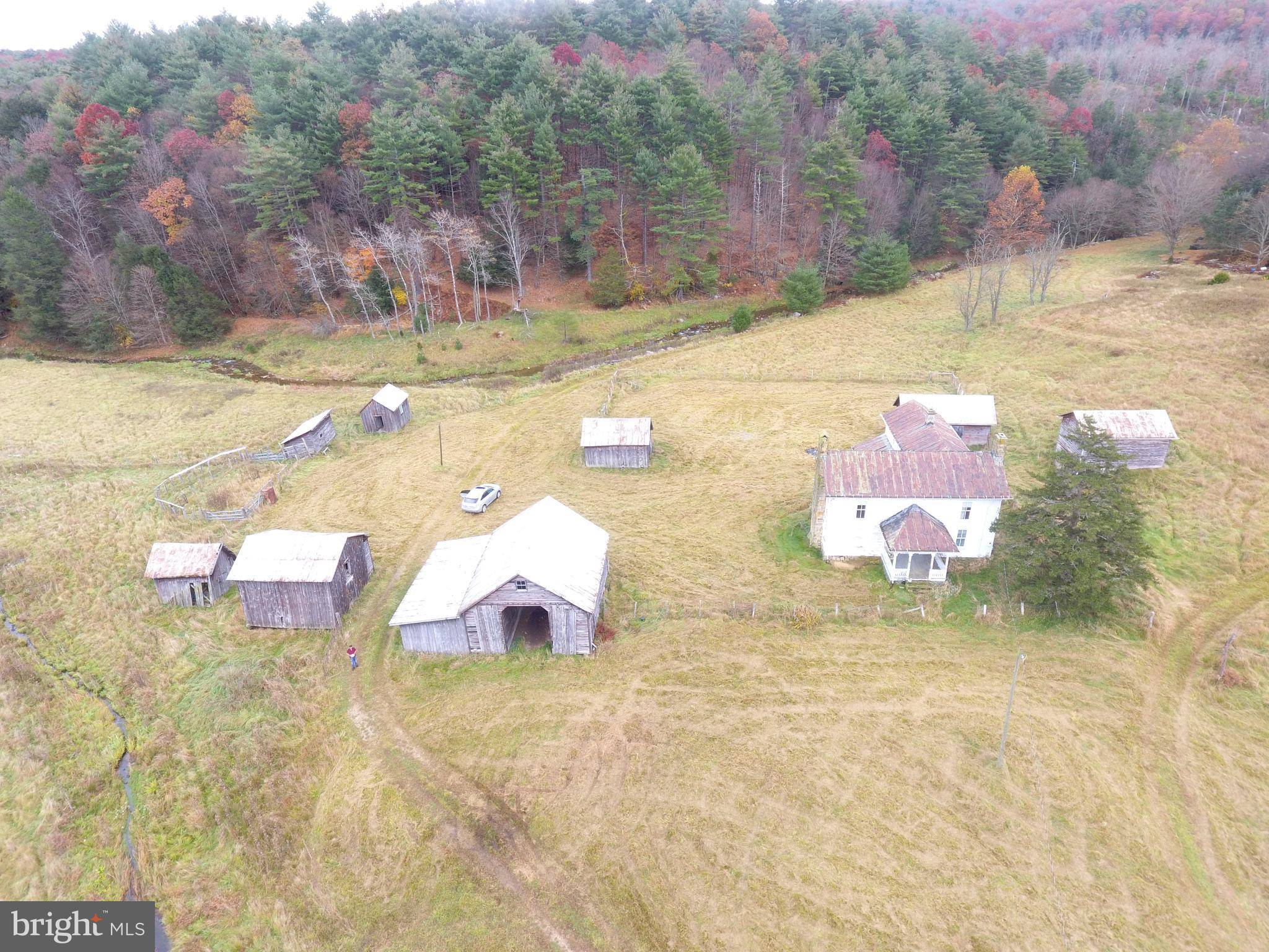 Sugar Grove, WV 26815,224 ACRES BLACK THORN