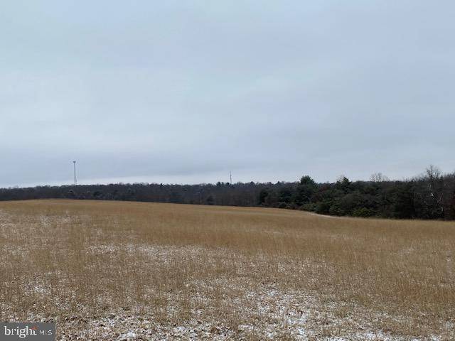 Warfordsburg, PA 17267,MCKEES GAP RD - LOT 4