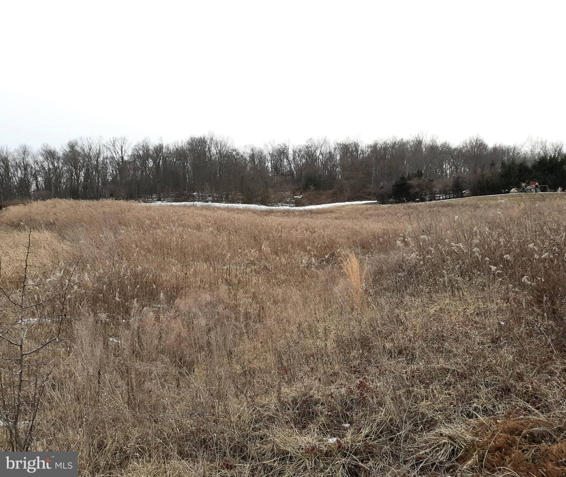 Quicksburg, VA 22847,LOT 2 PINEWOODS RD