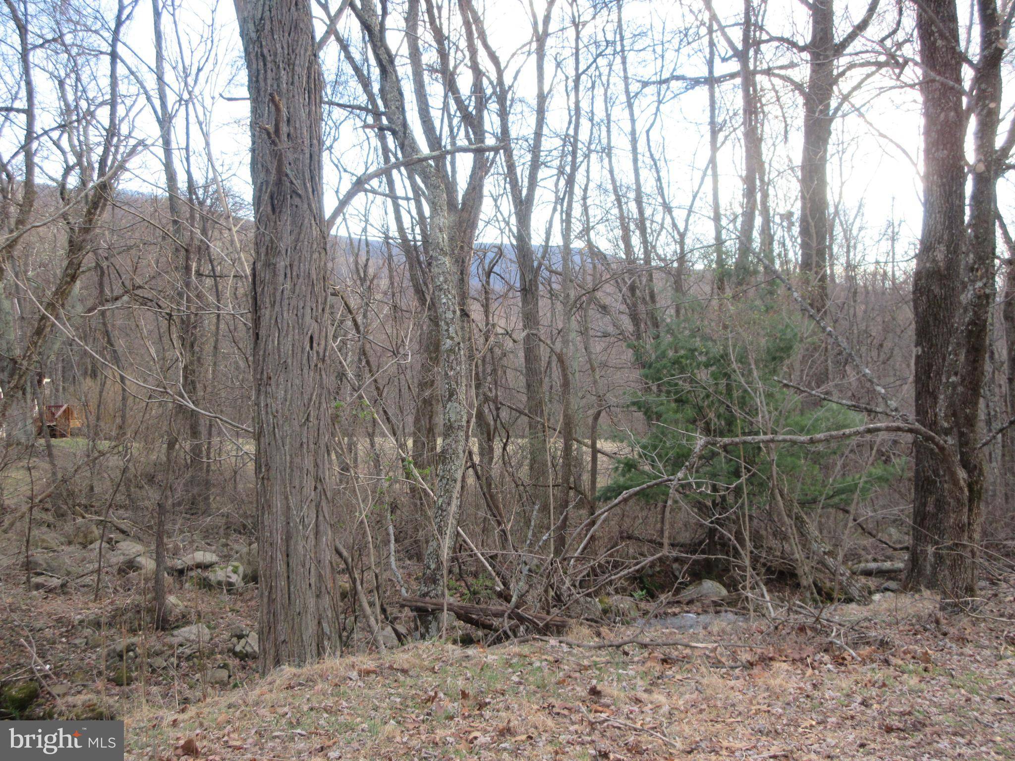 Bentonville, VA 22610,LOT 2A1 SMITH RUN RD