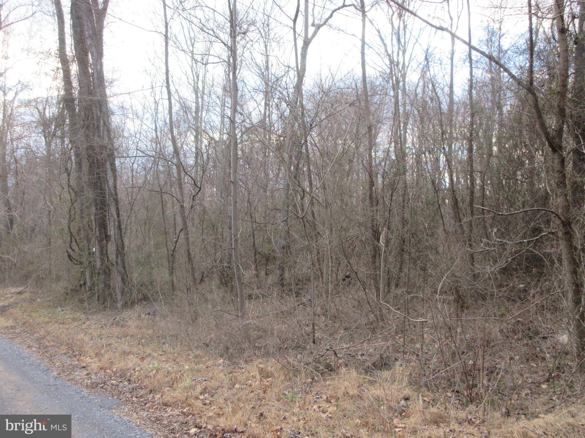 Bentonville, VA 22610,LOT 2A1 SMITH RUN RD