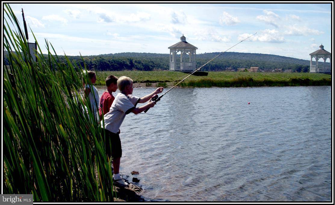 Swanton, MD 21561,LOT 58 WATERFRONT GREENS DRIVE