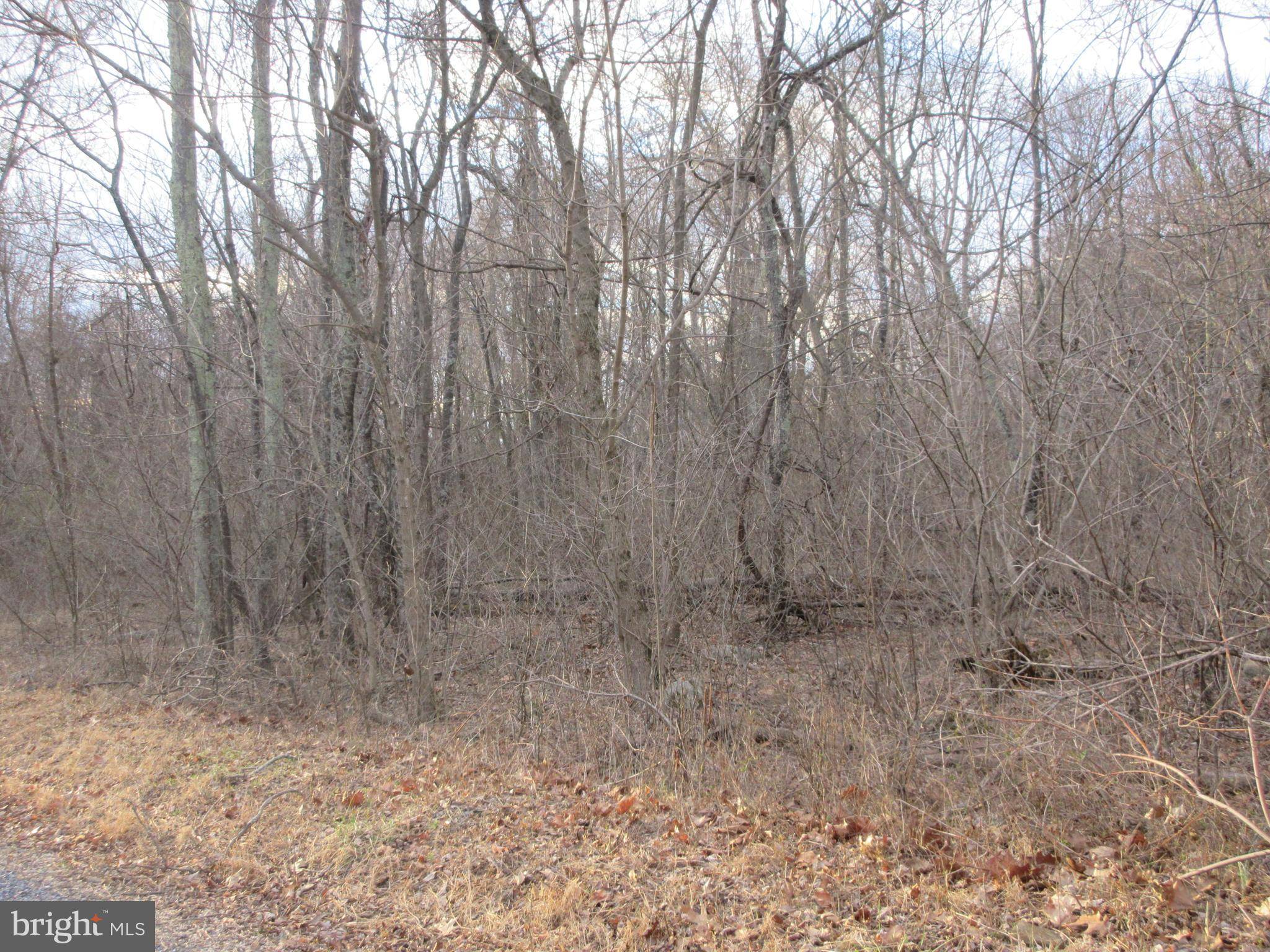 Bentonville, VA 22610,LOT 2A2 SMITH RUN RD