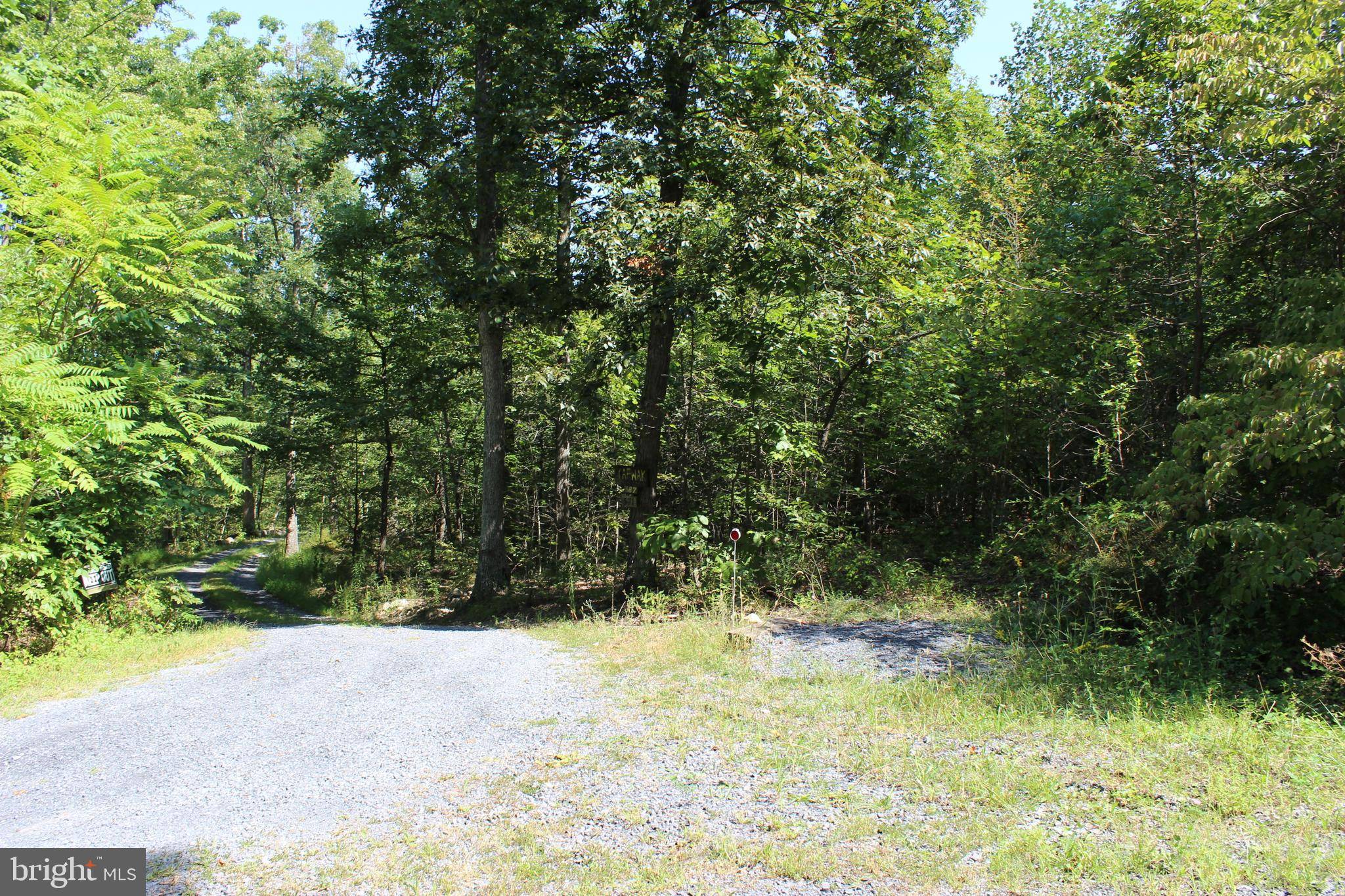 Mount Jackson, VA 22842,BRUSH LEAF LANE - LOT 8