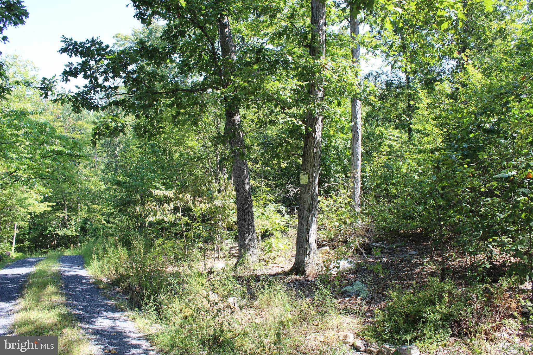 Mount Jackson, VA 22842,BRUSH LEAF LANE - LOT 8