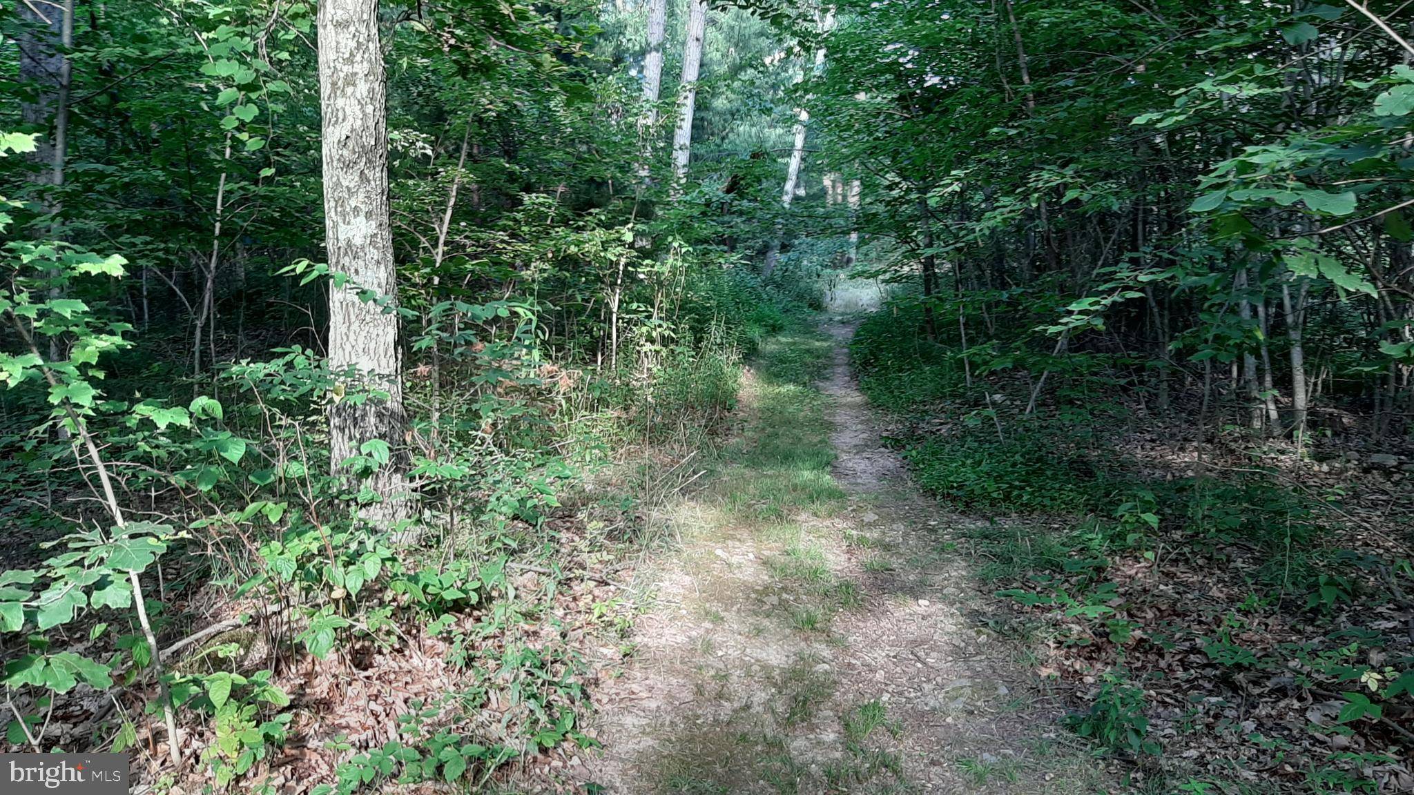 Mount Jackson, VA 22842,BRUSH LEAF LANE - LOT 9