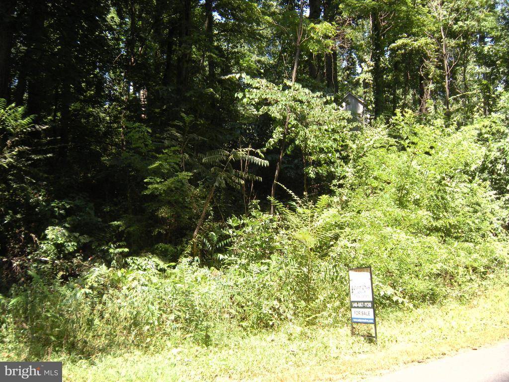 Winchester, VA 22602,-LOT #208 ANNE GLASS RD