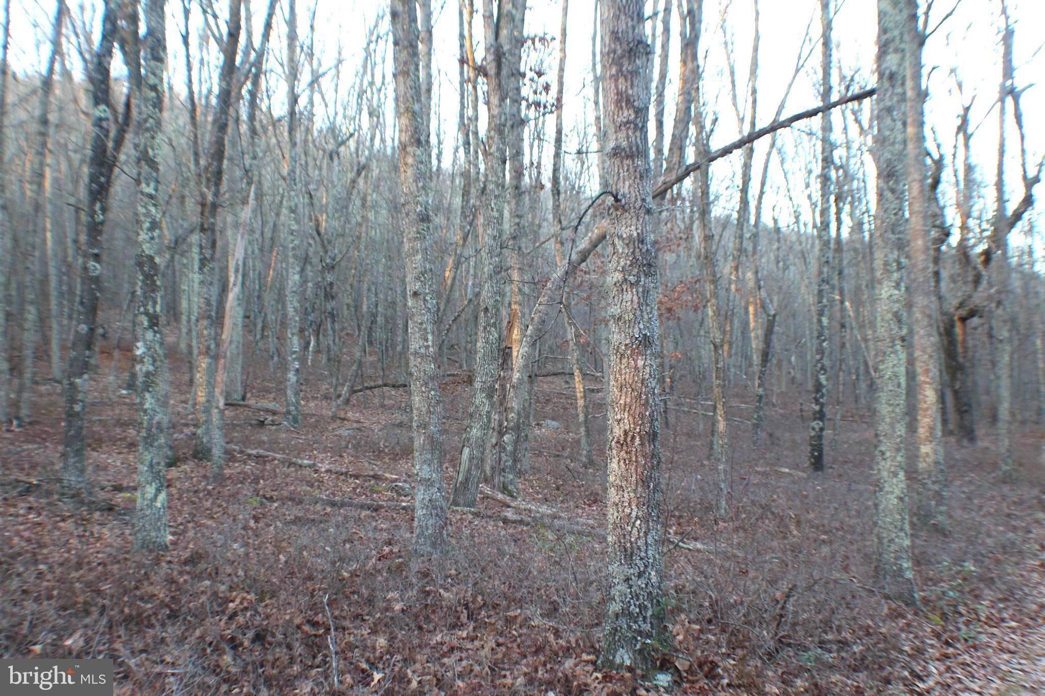 Petersburg, WV 26847,LOT 37 SPRING MOUNTAIN PROPERTY