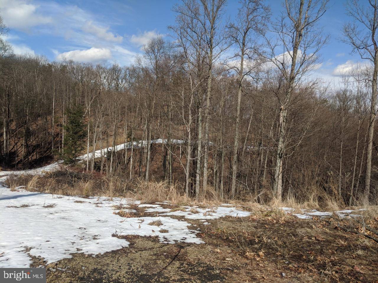 Shermans Dale, PA 17090,LOT 7 STONER DR