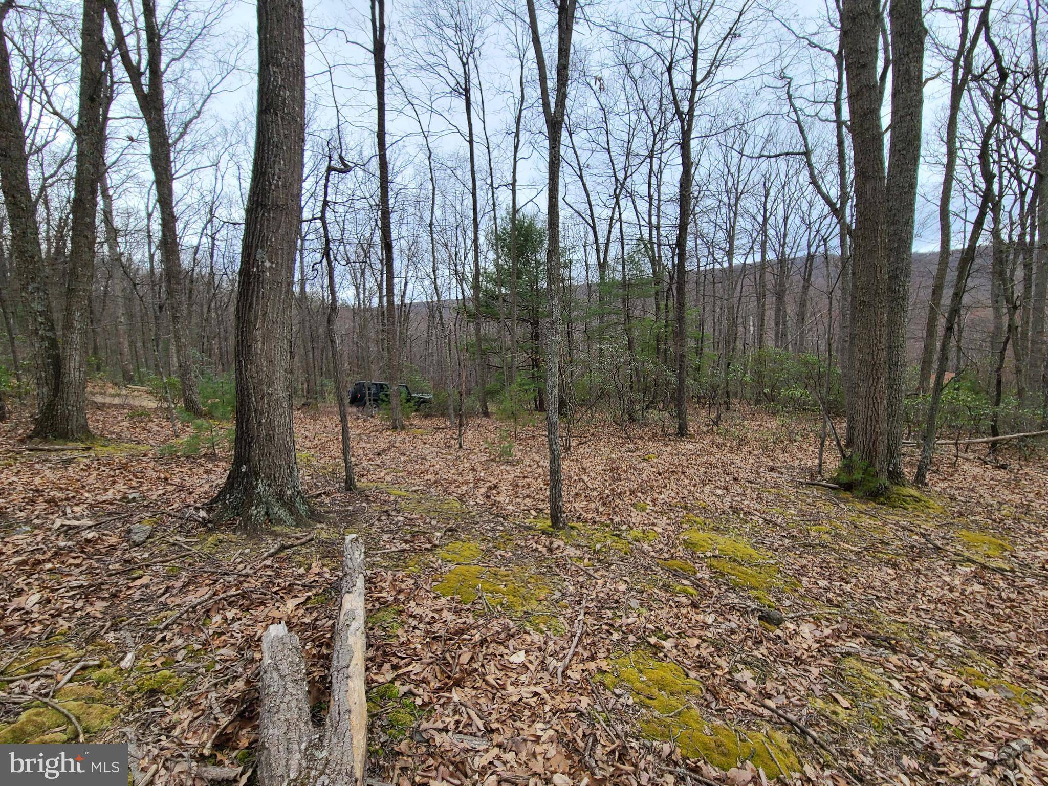 Mathias, WV 26812,LOT 15 CEDARWOOD DR