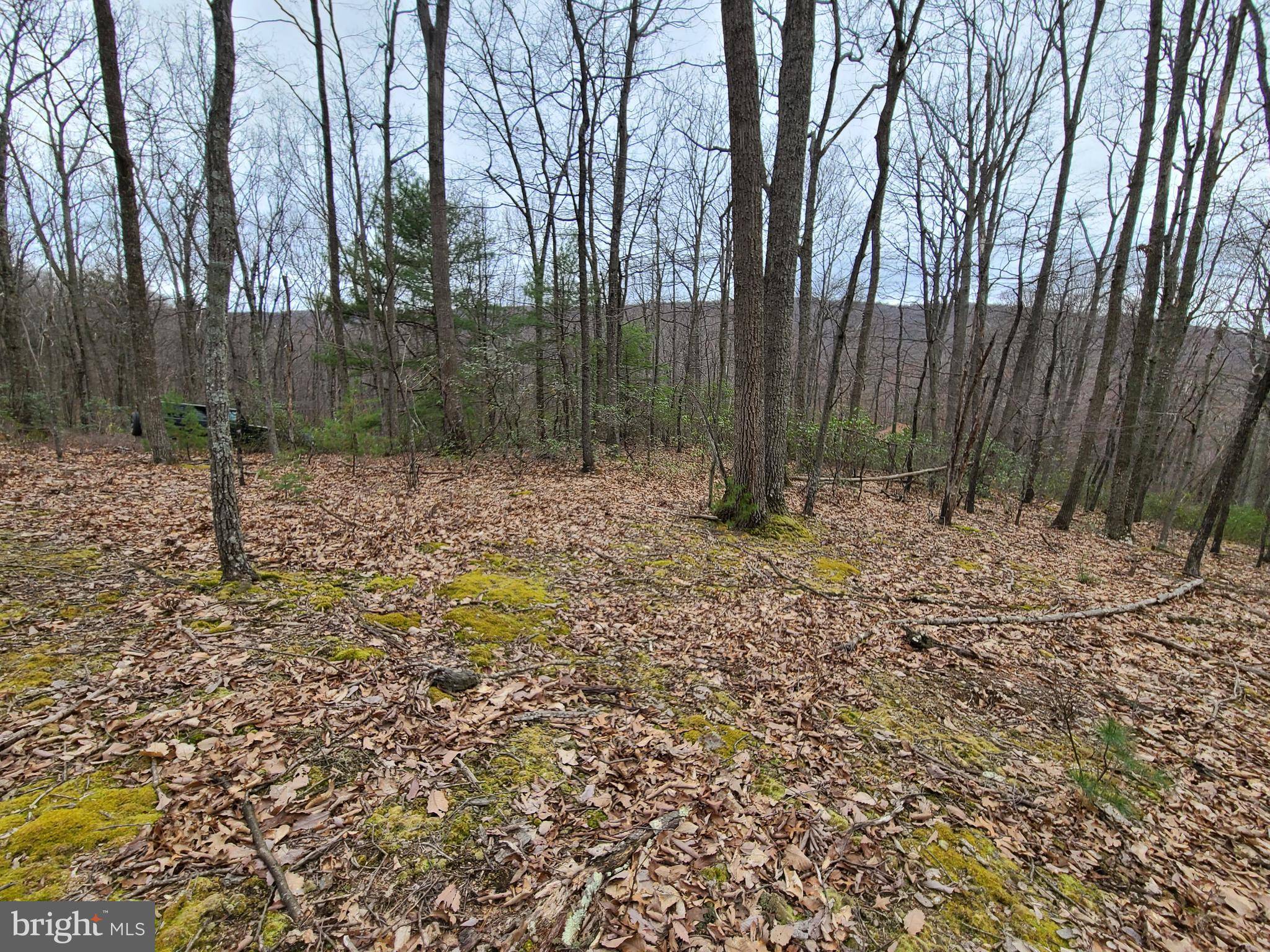 Mathias, WV 26812,LOT 15 CEDARWOOD DR