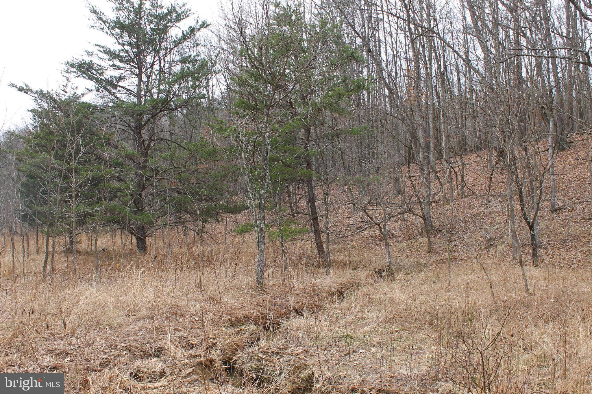 Springfield, WV 26763,LOT 154 RM WASHINGTON DR