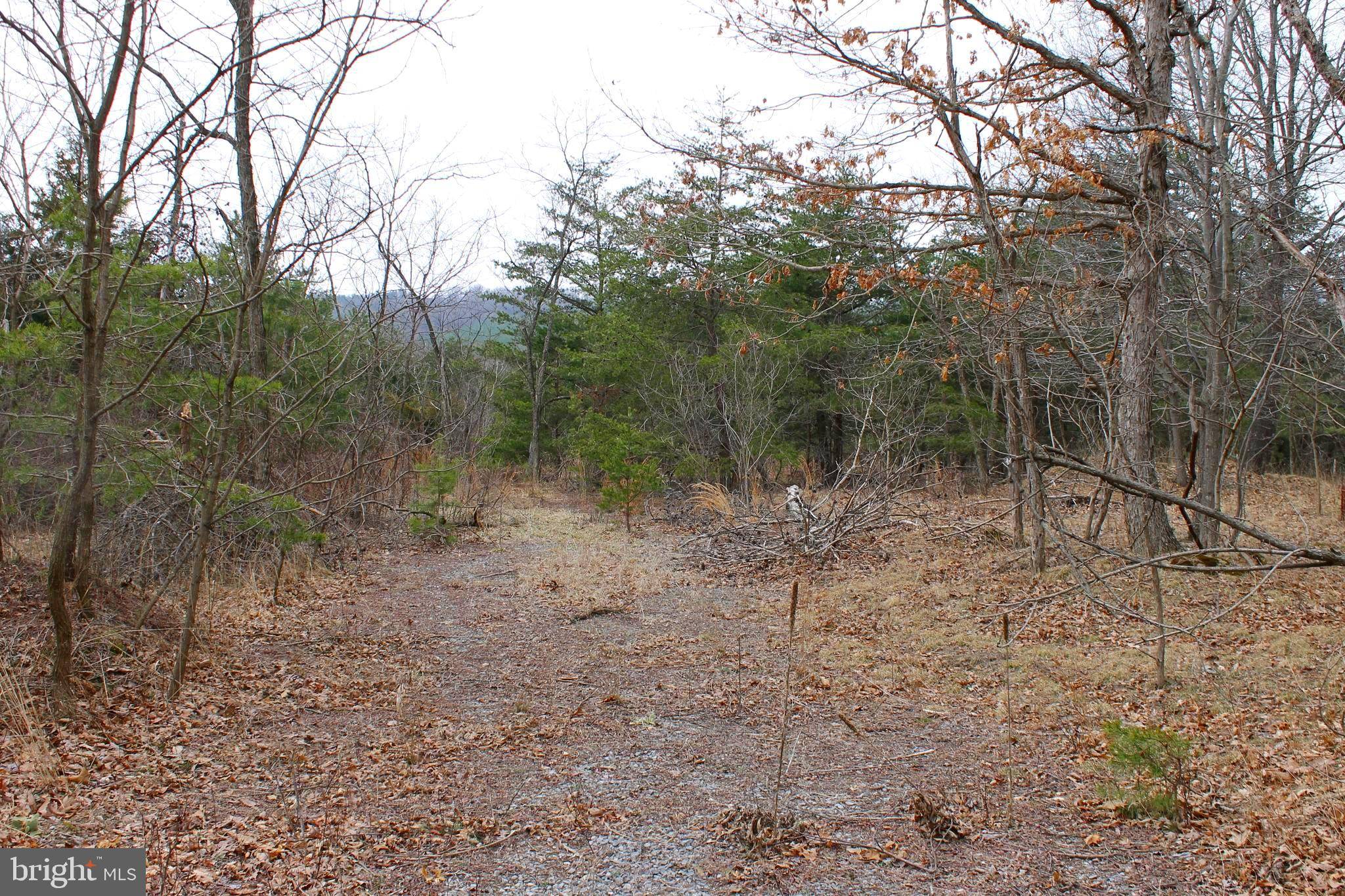 Springfield, WV 26763,LOT 154 RM WASHINGTON DR