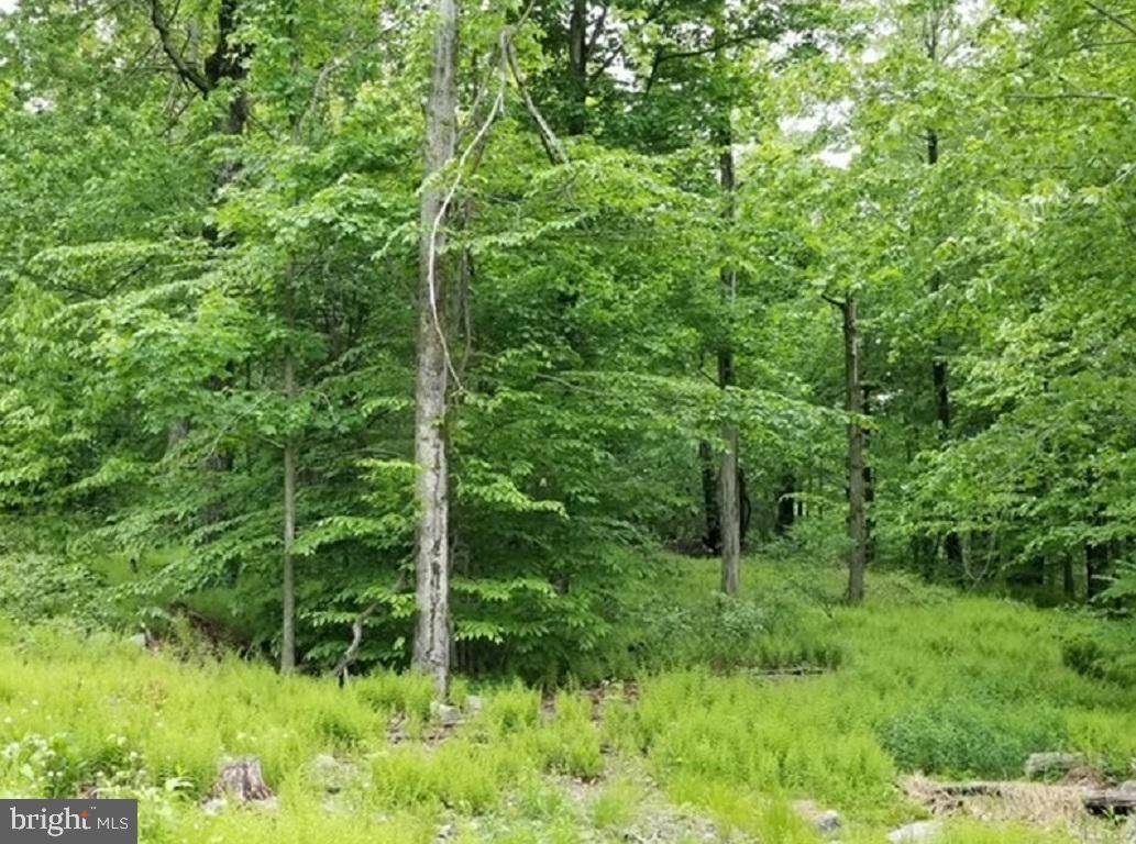 Newfoundland, PA 18445,LOT 3 EAST ROCKVILLE CT