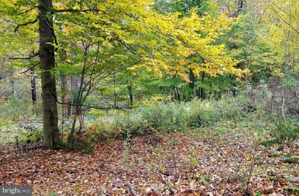 Newfoundland, PA 18445,LOT 3 EAST ROCKVILLE CT