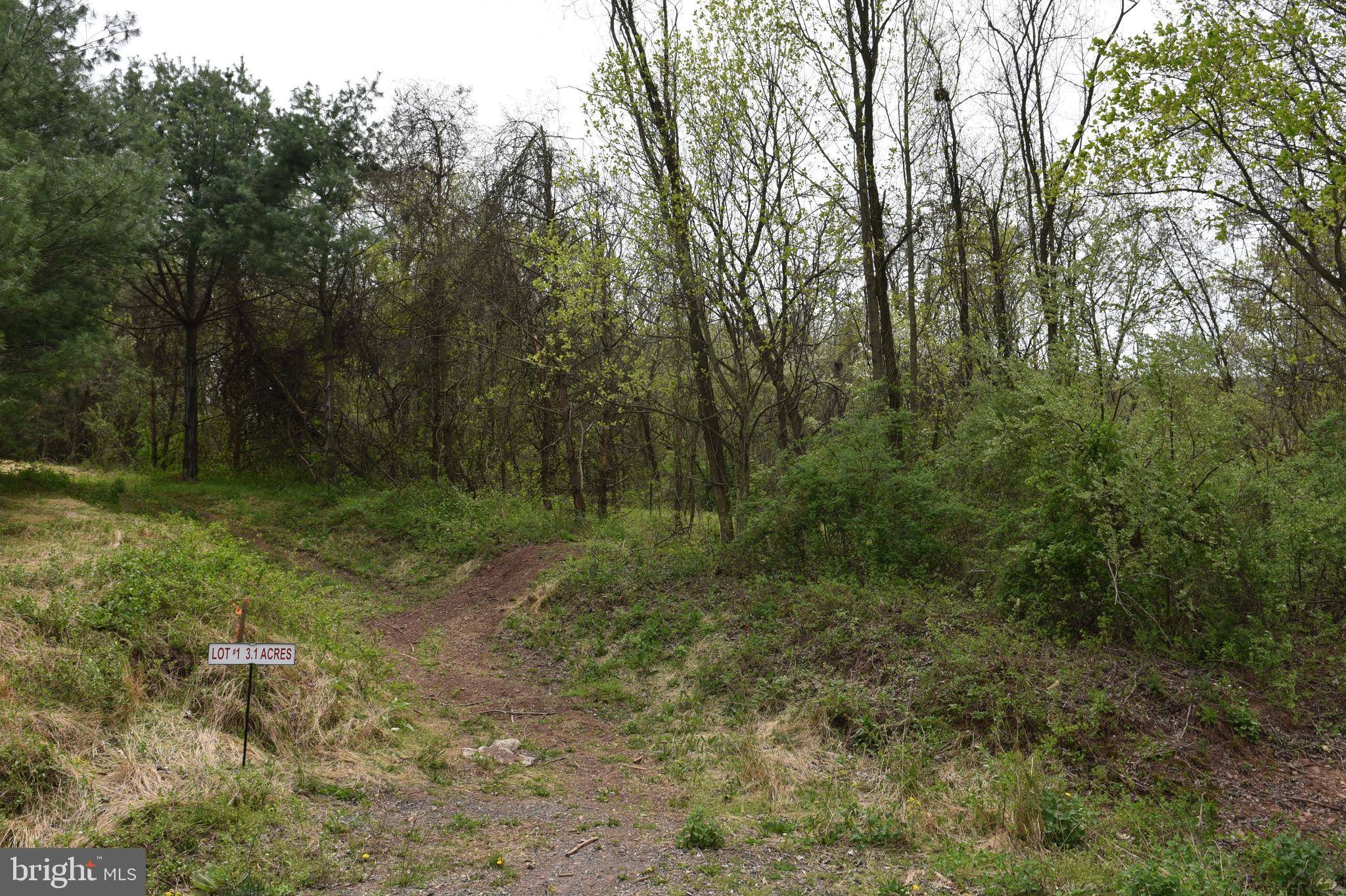 Mc Connellsburg, PA 17233,LOT # 1 MOUNTAIN VISTA DRIVE