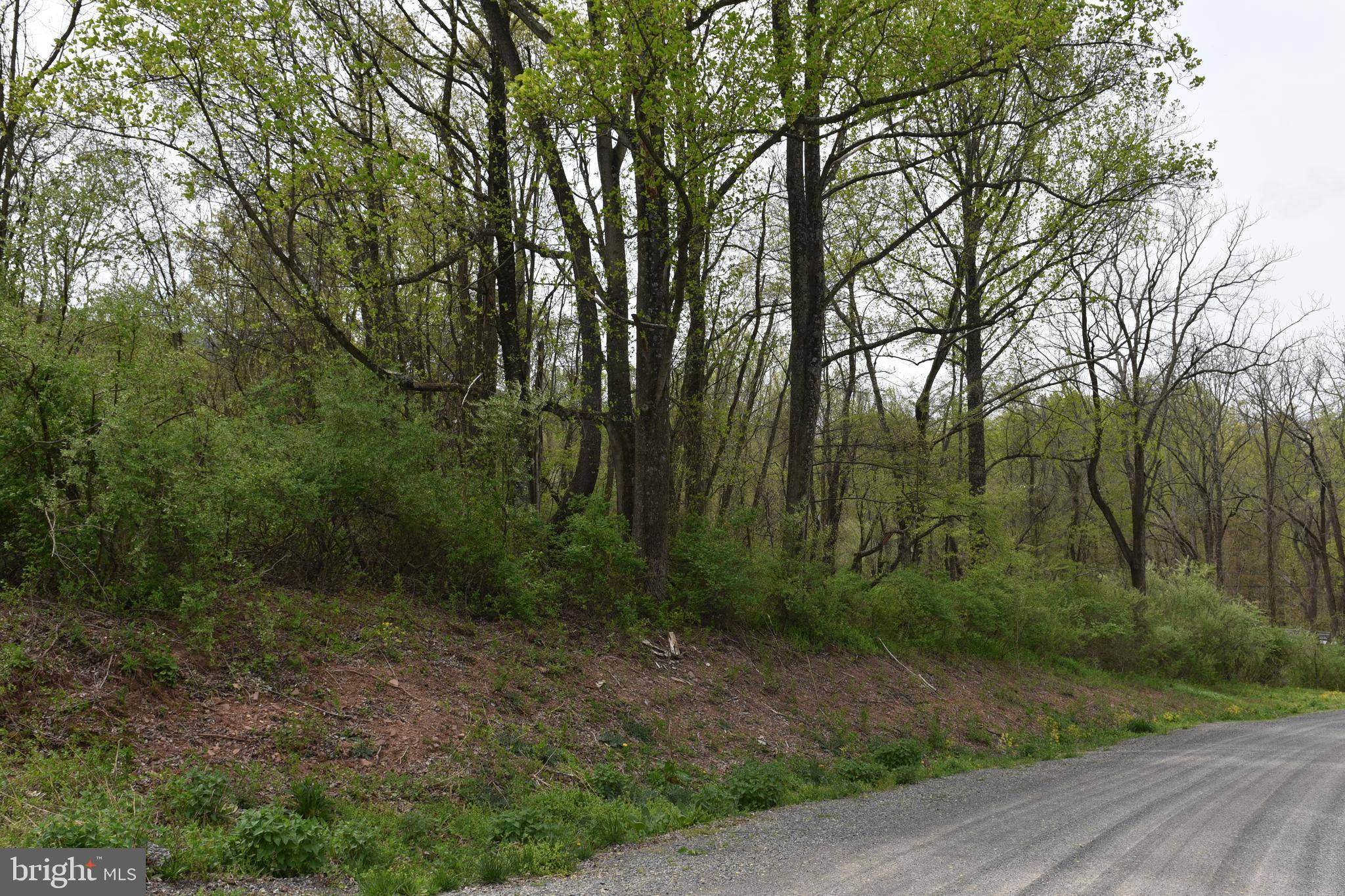 Mc Connellsburg, PA 17233,LOT # 1 MOUNTAIN VISTA DRIVE