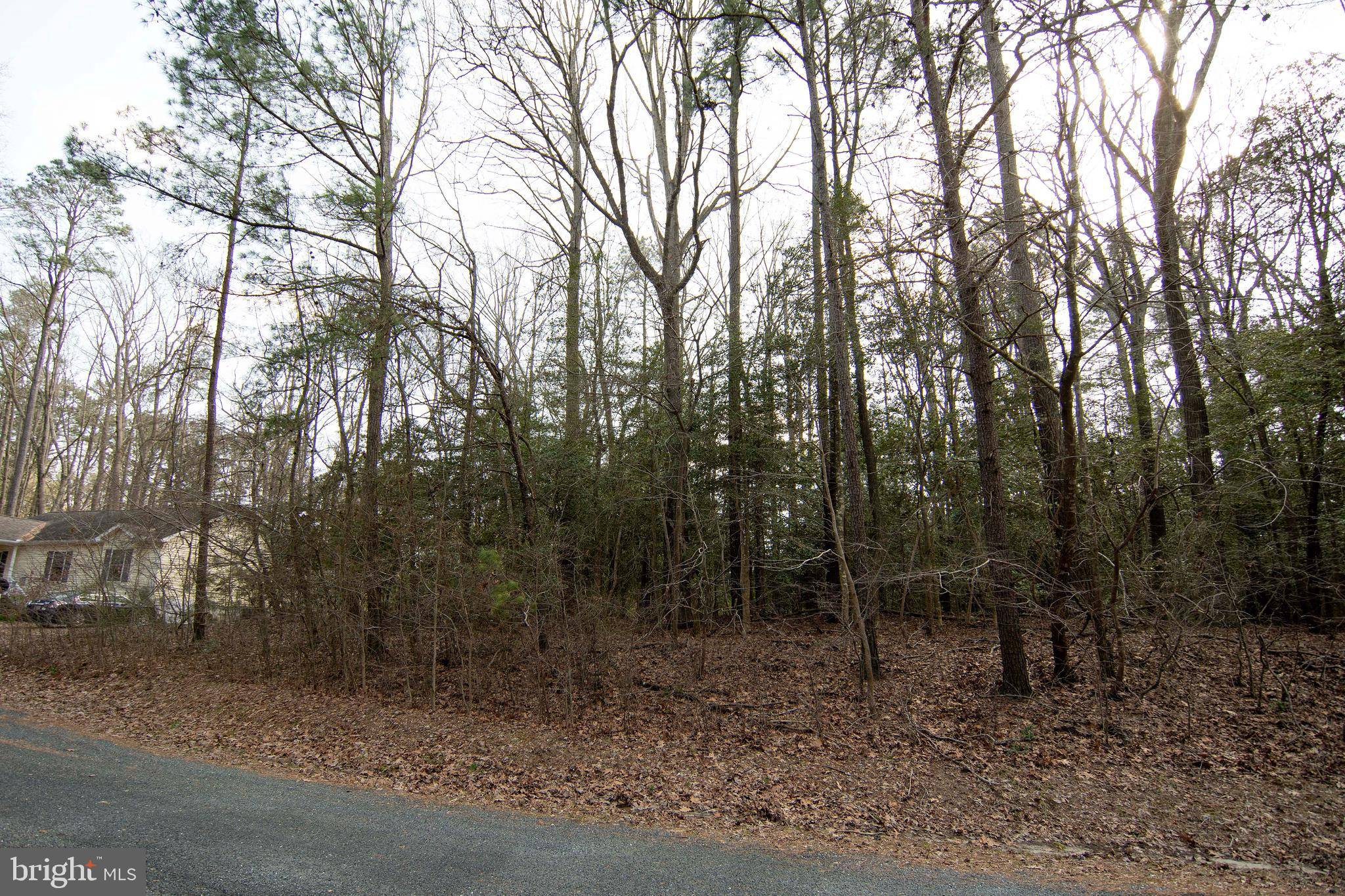 Greenbackville, VA 23356,LOT 1782 YOEMAN CT