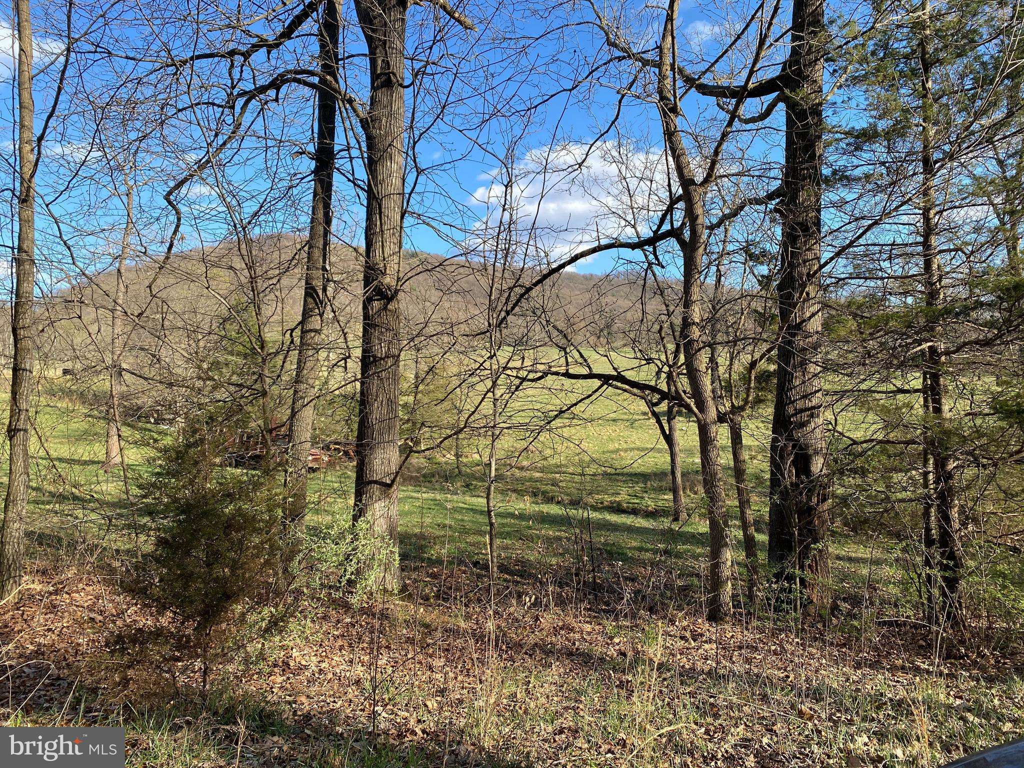 Bentonville, VA 22610,LOT 11A JONES FARM RD