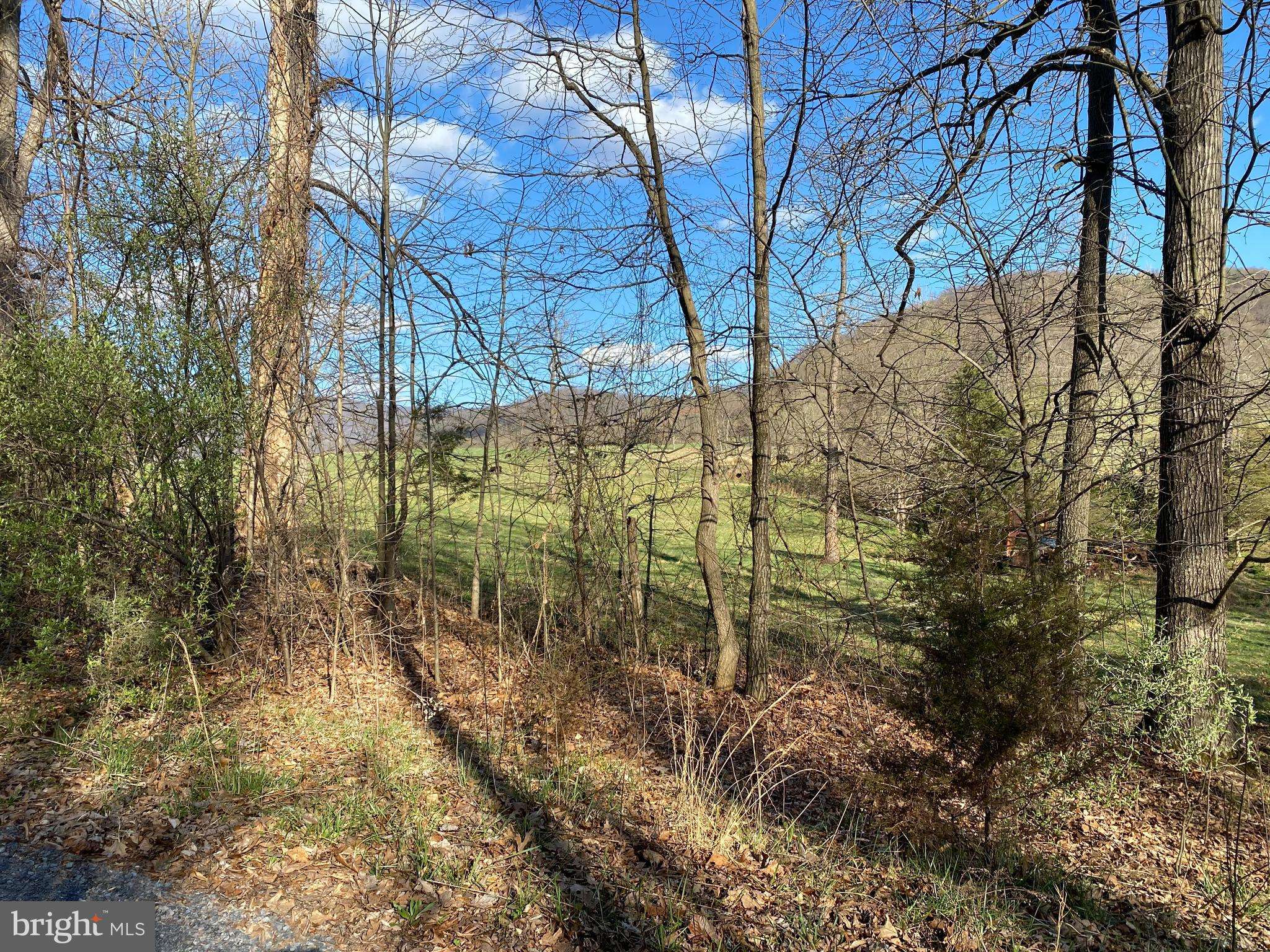 Bentonville, VA 22610,LOT 11A JONES FARM RD