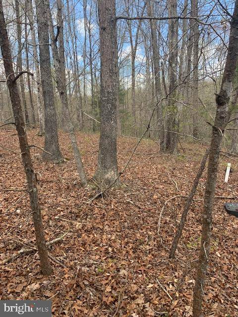 Gordonsville, VA 22942,SHENANDOAH CROSSING DR #LOT 86