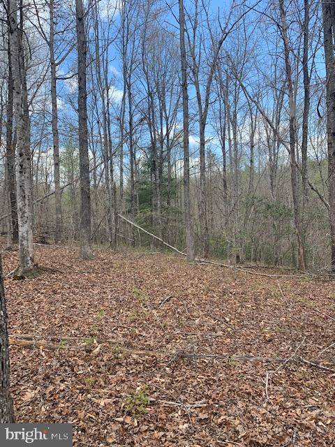 Gordonsville, VA 22942,SHENANDOAH CROSSING DR #LOT 86