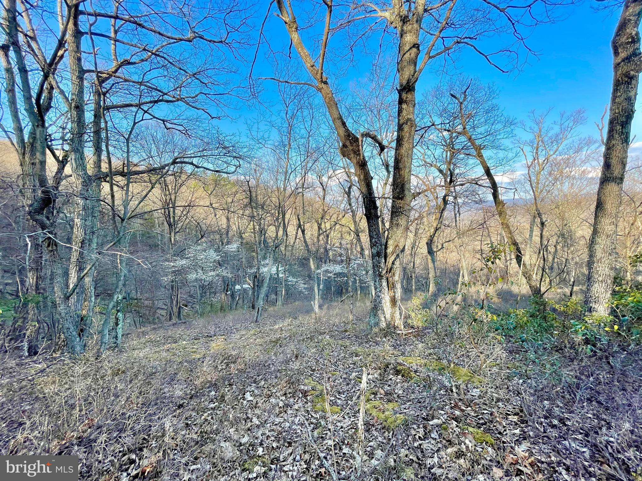 Mathias, WV 26812,LOT 64 LAUREL RUN