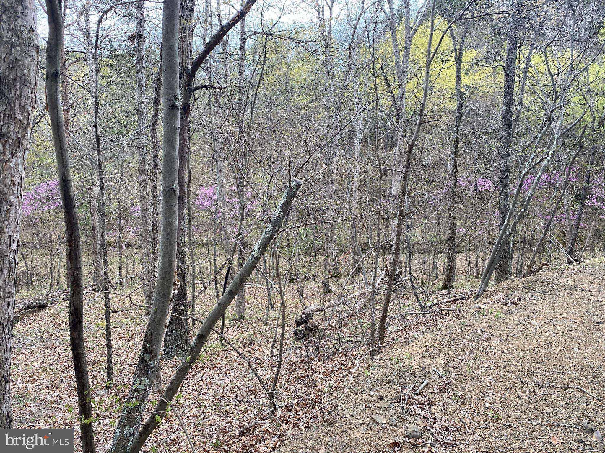 Springfield, WV 26763,LOT 23 MOUNTAIN AIR DR