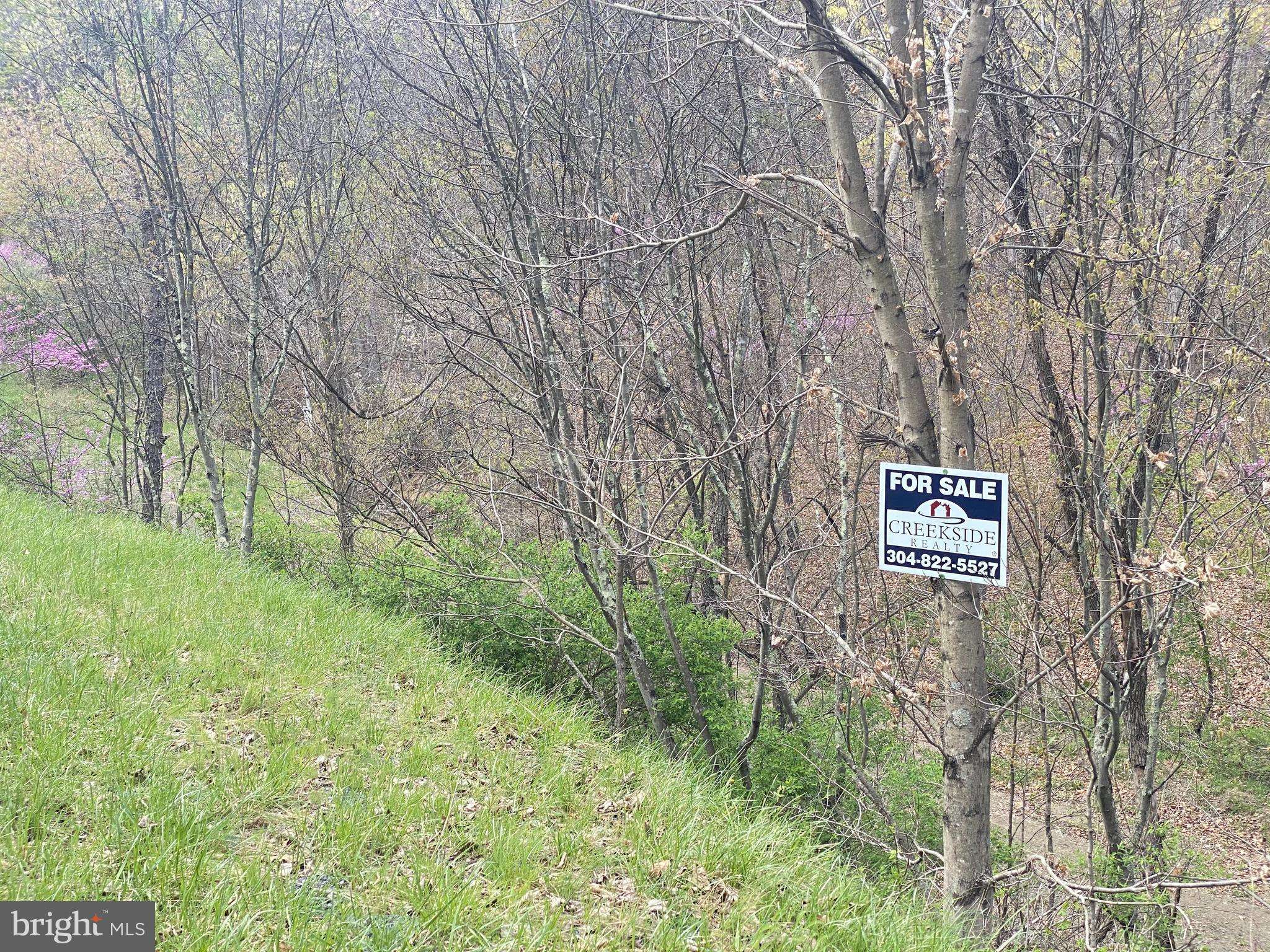 Springfield, WV 26763,LOT 23 MOUNTAIN AIR DR