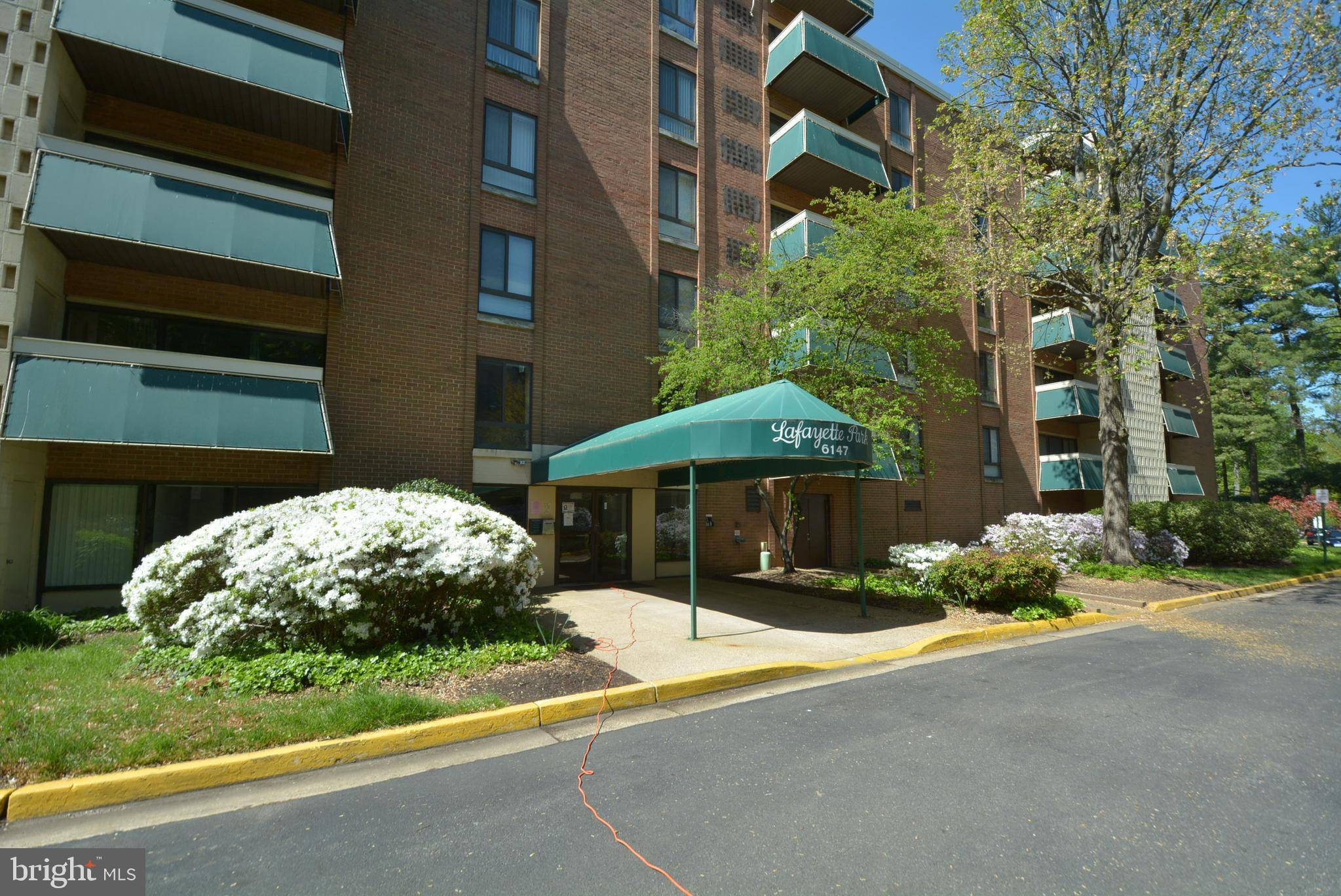 Falls Church, VA 22041,6147 LEESBURG PIKE #205