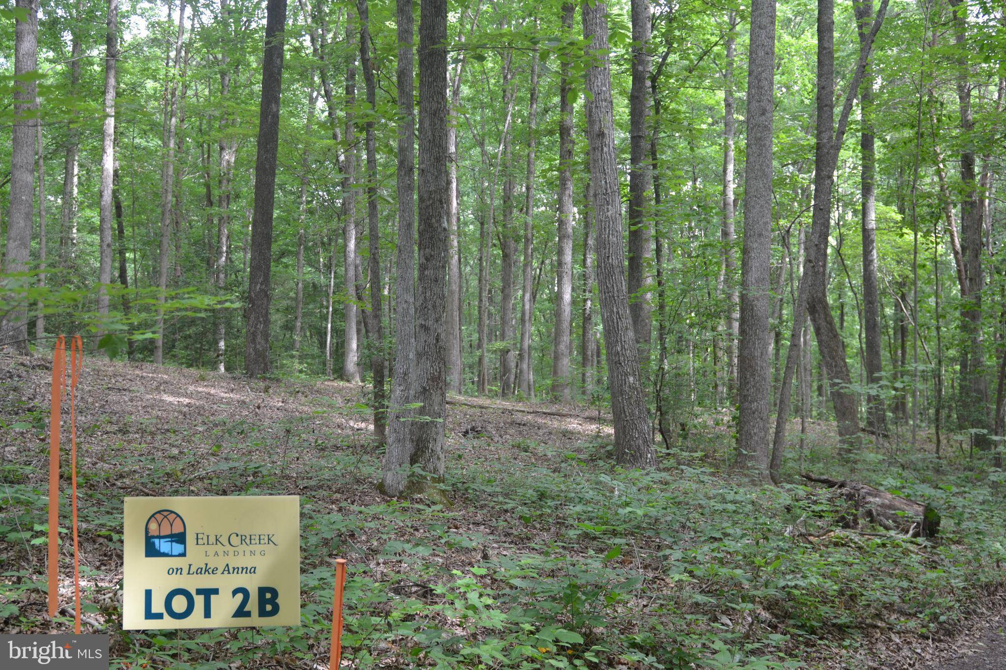 Mineral, VA 23117,LOT 2B EAGLE COVE ROAD