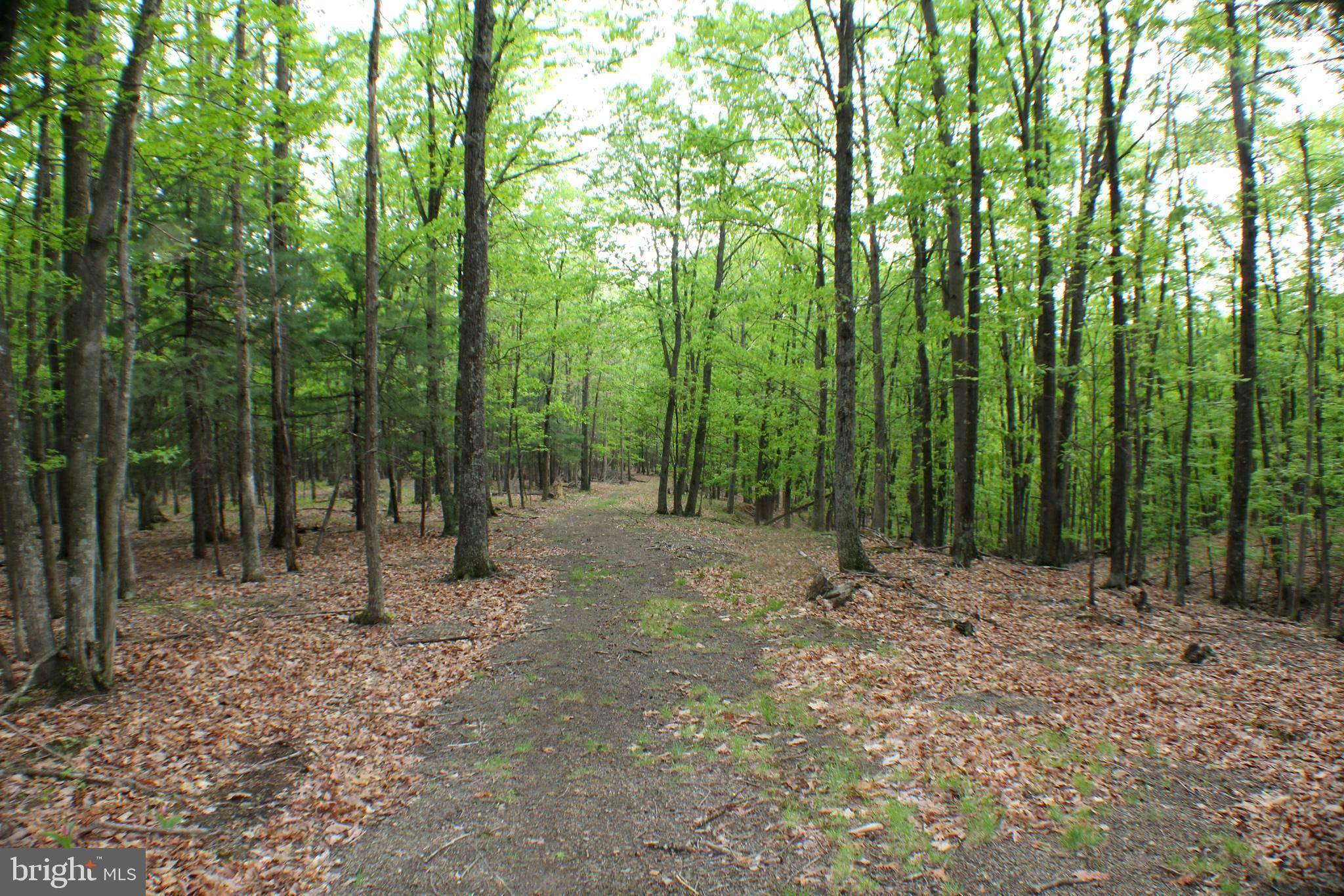 Petersburg, WV 26847,24.18 ACRES PUMPKIN CENTER RD