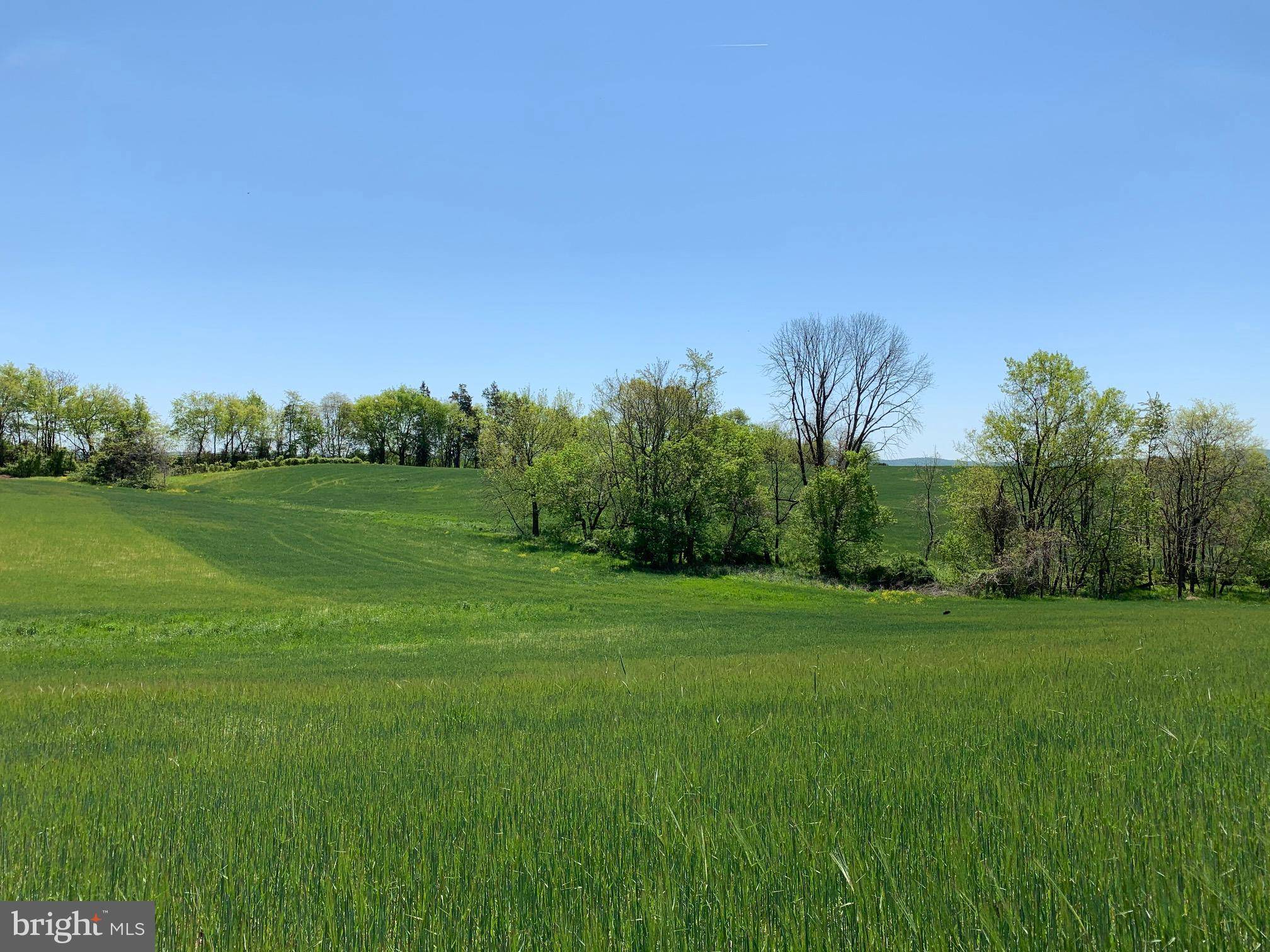 Rochelle, VA 22738,PORTION OF TM 69-2 RACE GROUND