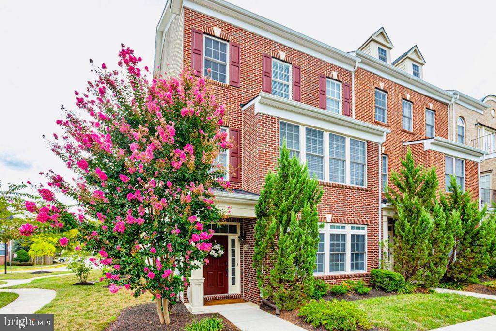 Alexandria, VA 22309,3730 MARY EVELYN WAY