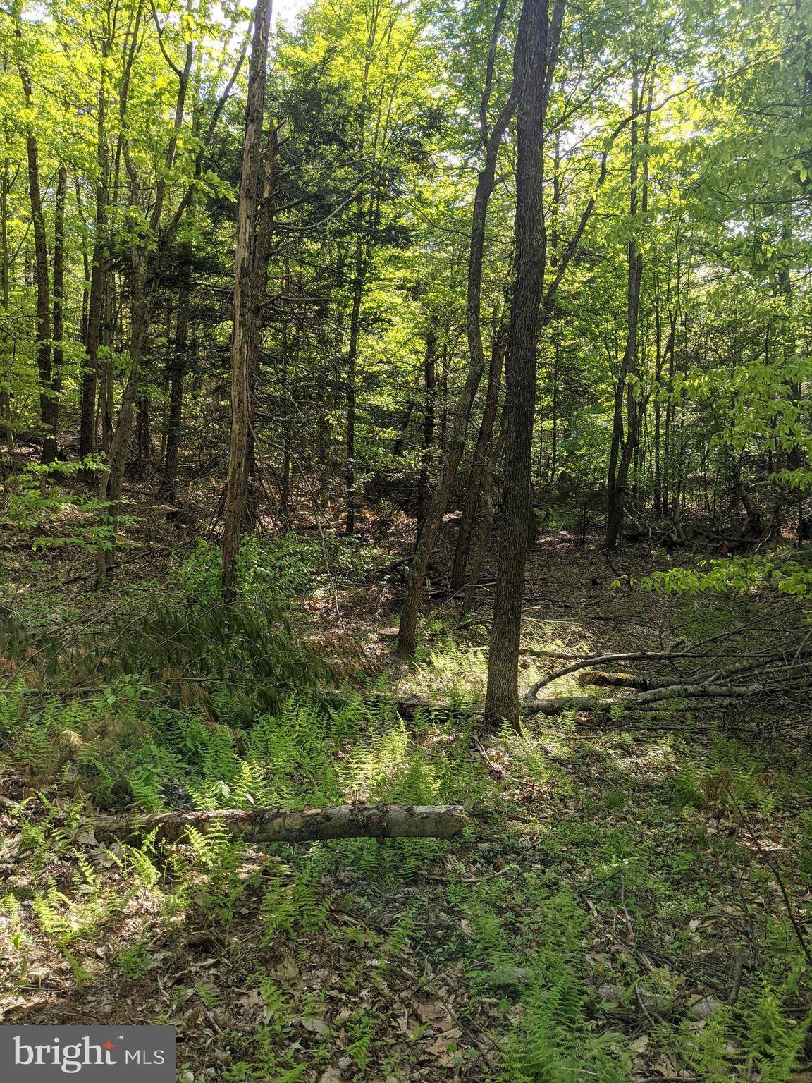 Newport, PA 17074,LOT 3 HICKORY RIDGE ROAD