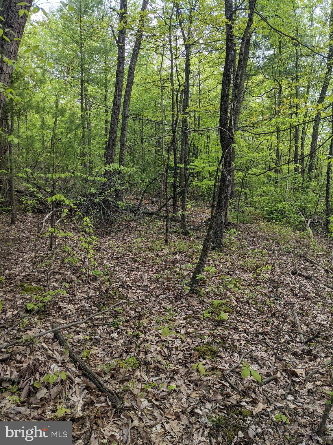 Newport, PA 17074,LOT 7 HICKORY RIDGE ROAD