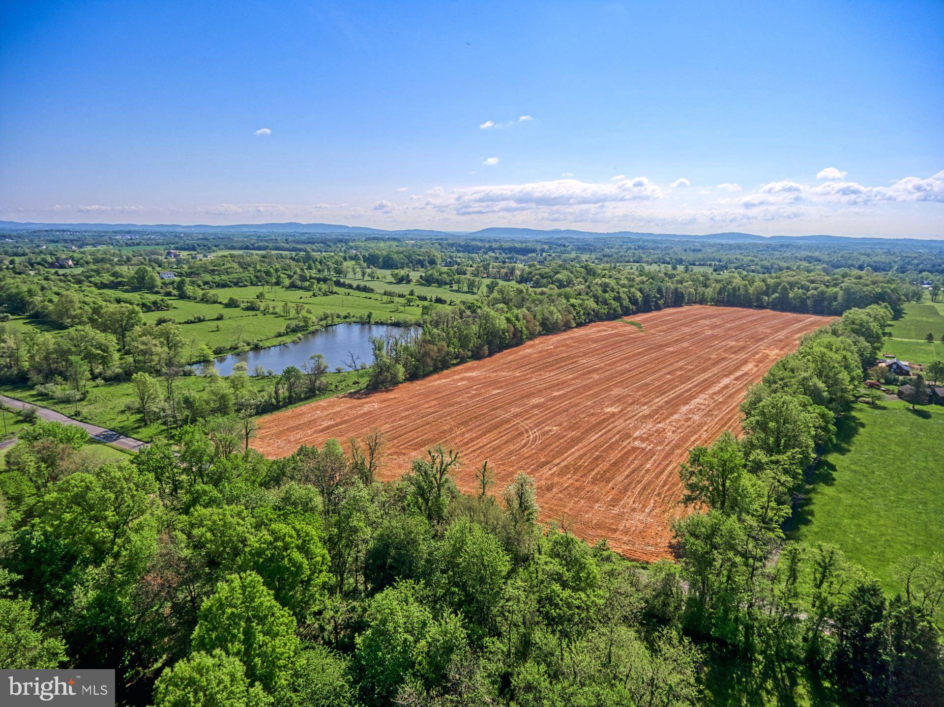 Lovettsville, VA 20180,PICNIC WOODS