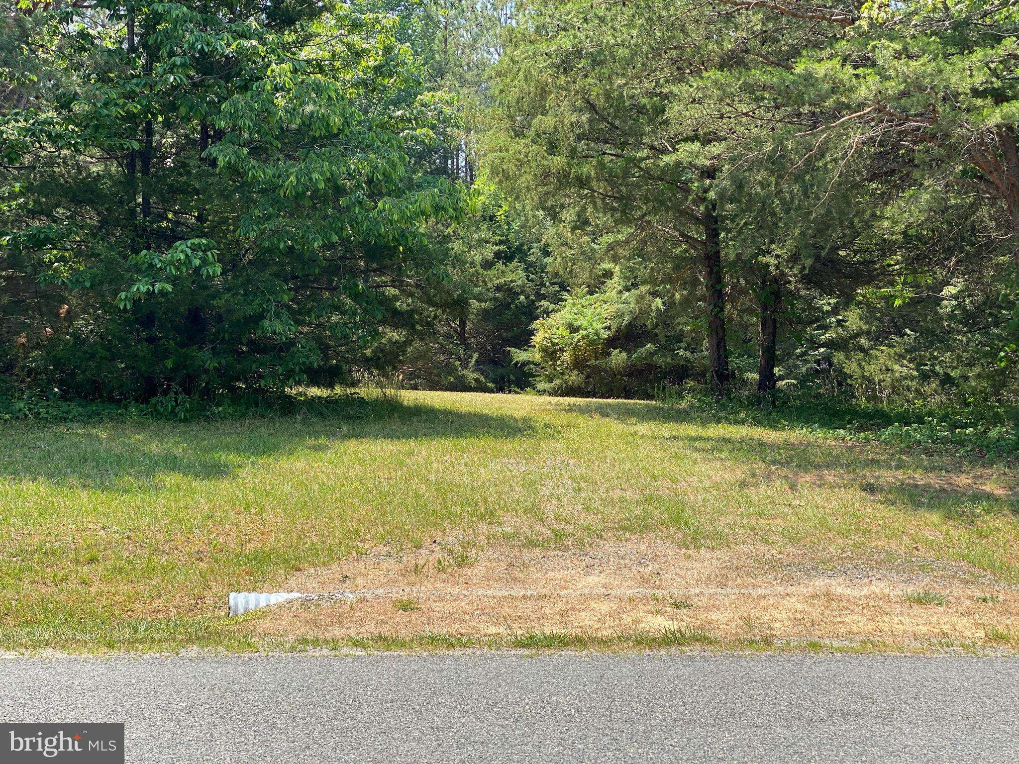 Louisa, VA 23093,LOT 34 BELMONT